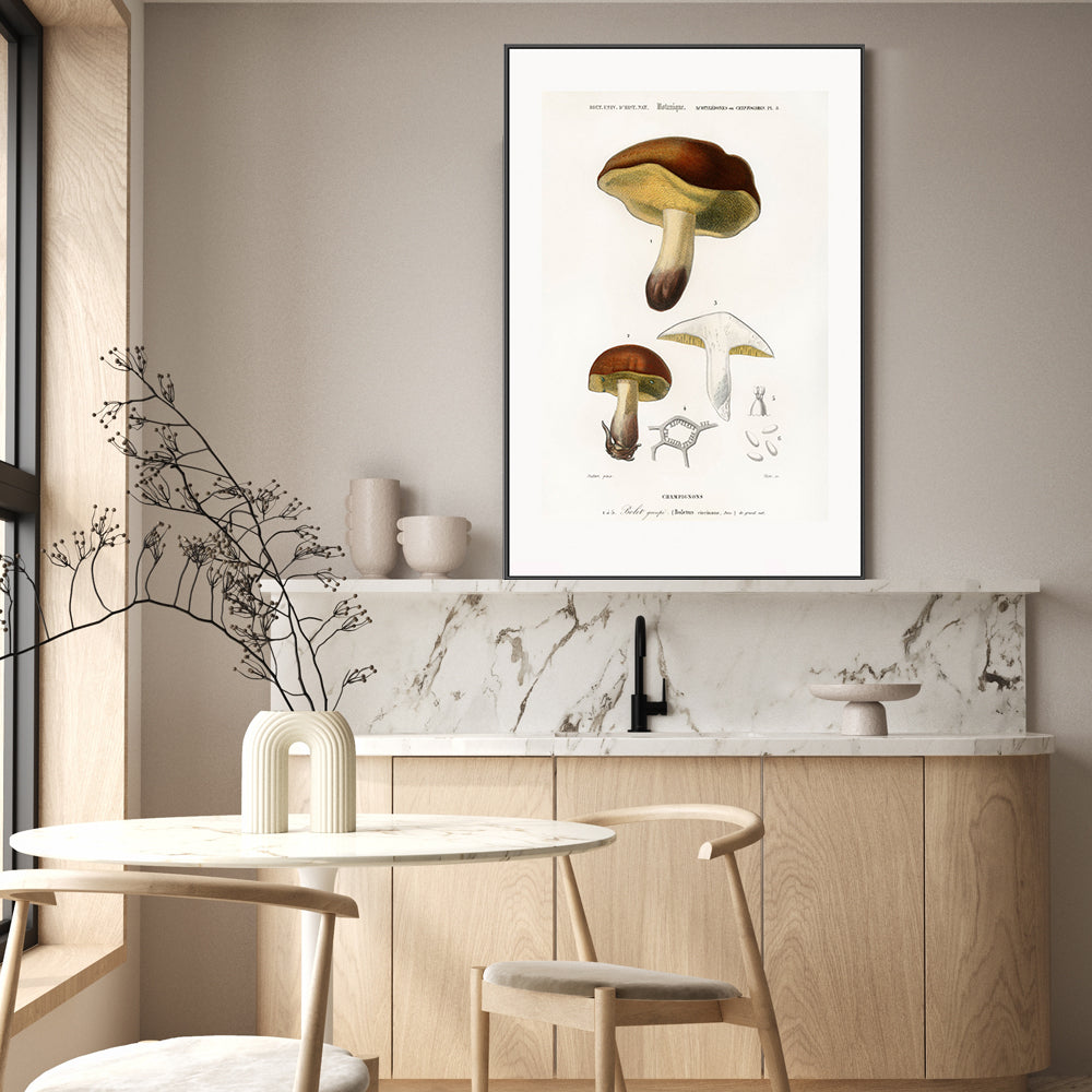 wall-art-print-canvas-poster-framed-Bolete Mushrooms-GIOIA-WALL-ART