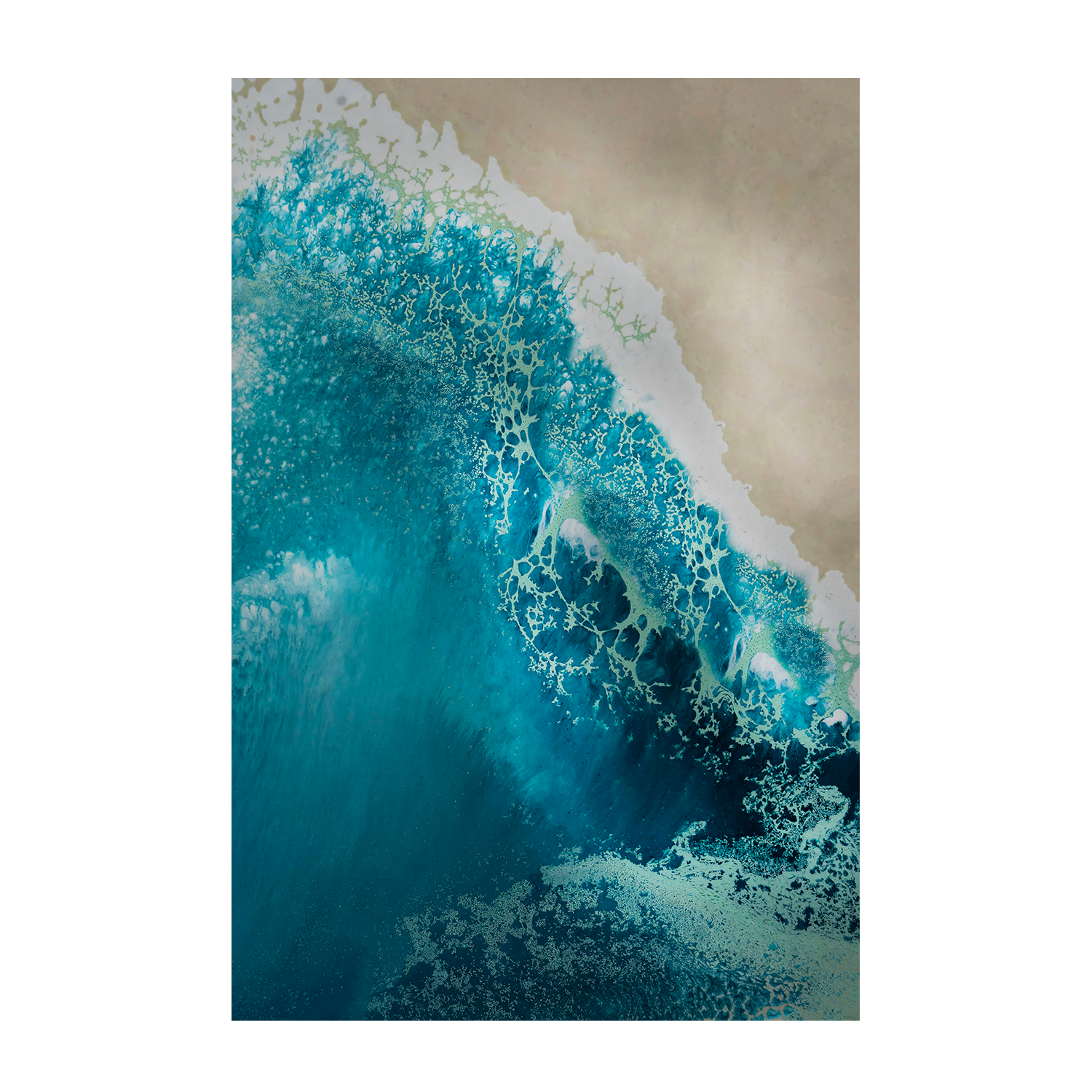 wall-art-print-canvas-poster-framed-Bondi Beach, Style A , By Petra Meikle-1