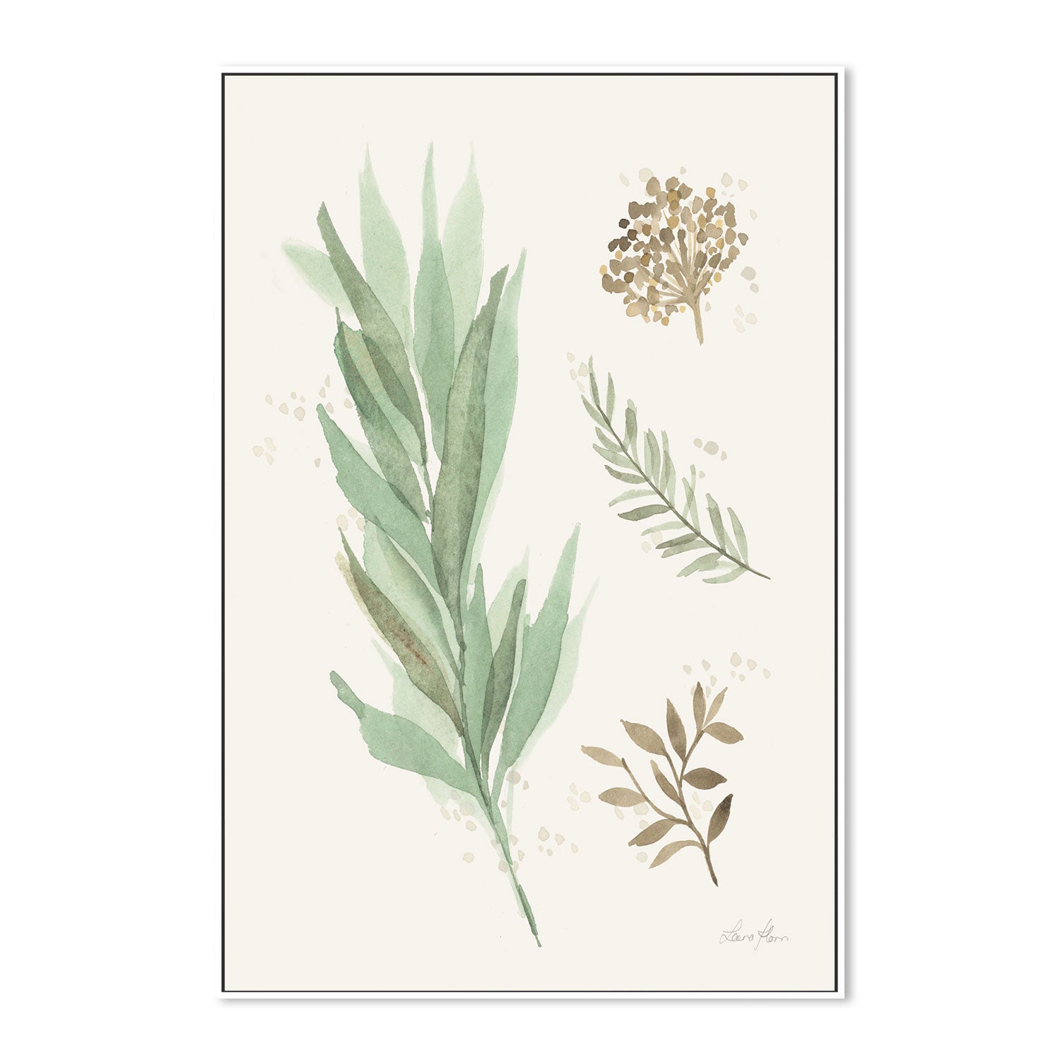 wall-art-print-canvas-poster-framed-Botanical Collage, Style A , By Laura Horn-GIOIA-WALL-ART