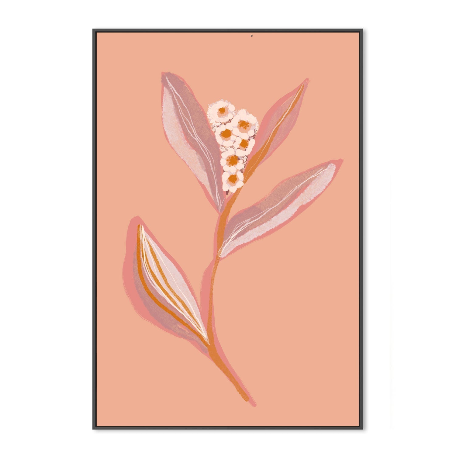 wall-art-print-canvas-poster-framed-Botanical Floral Peach, Style A , By Hope Bainbridge-3