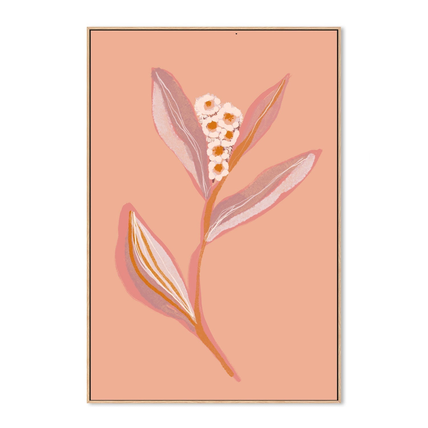 wall-art-print-canvas-poster-framed-Botanical Floral Peach, Style A , By Hope Bainbridge-4