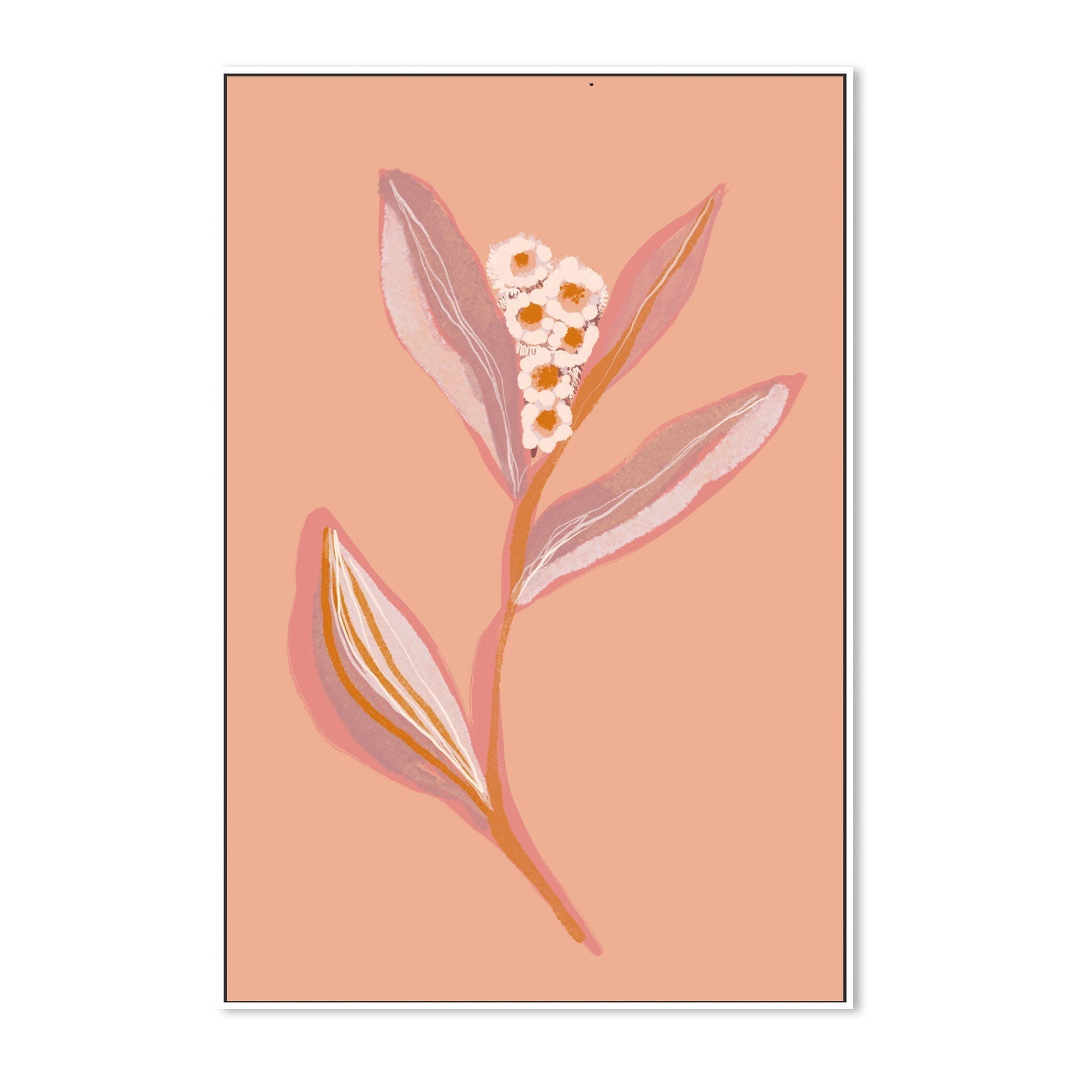 wall-art-print-canvas-poster-framed-Botanical Floral Peach, Style A , By Hope Bainbridge-5