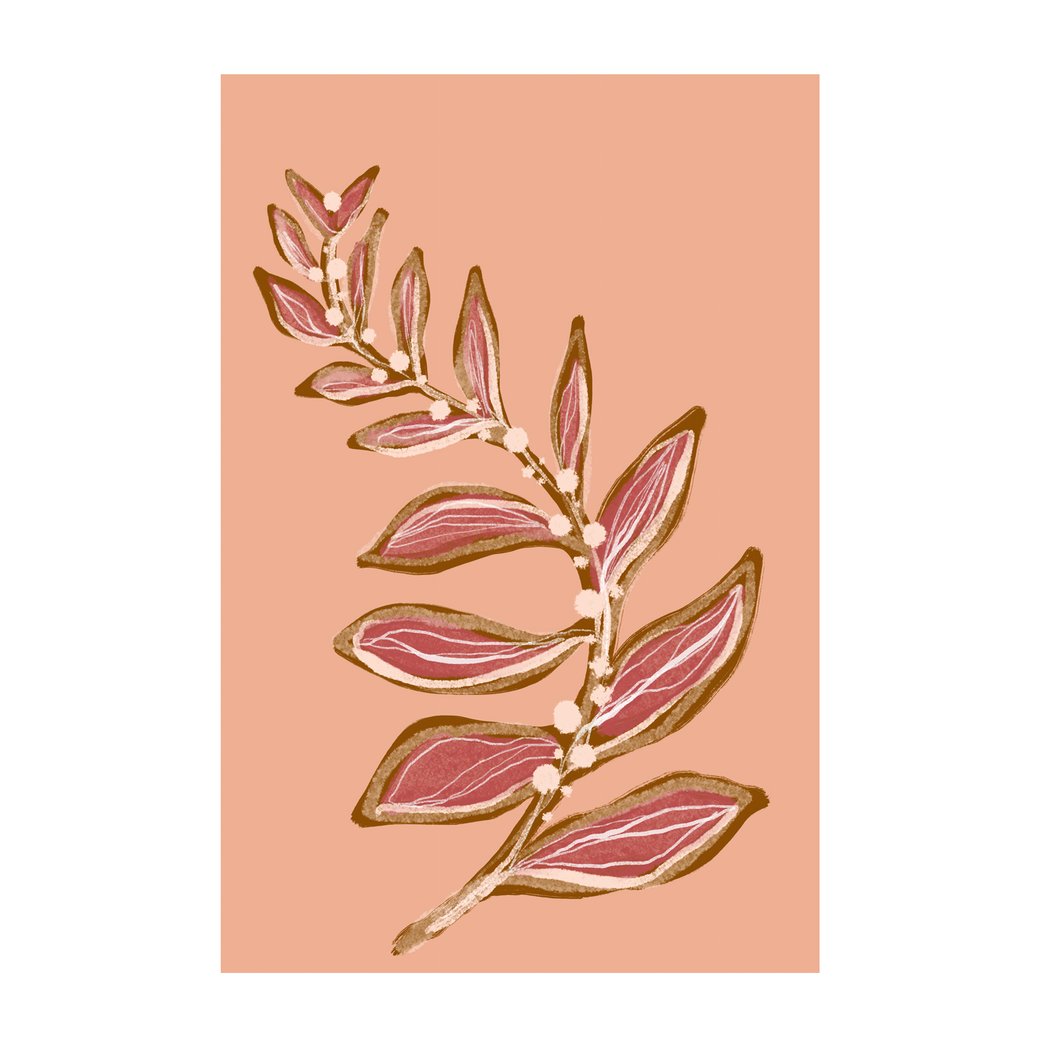 wall-art-print-canvas-poster-framed-Botanical Floral Peach, Style C , By Hope Bainbridge-1