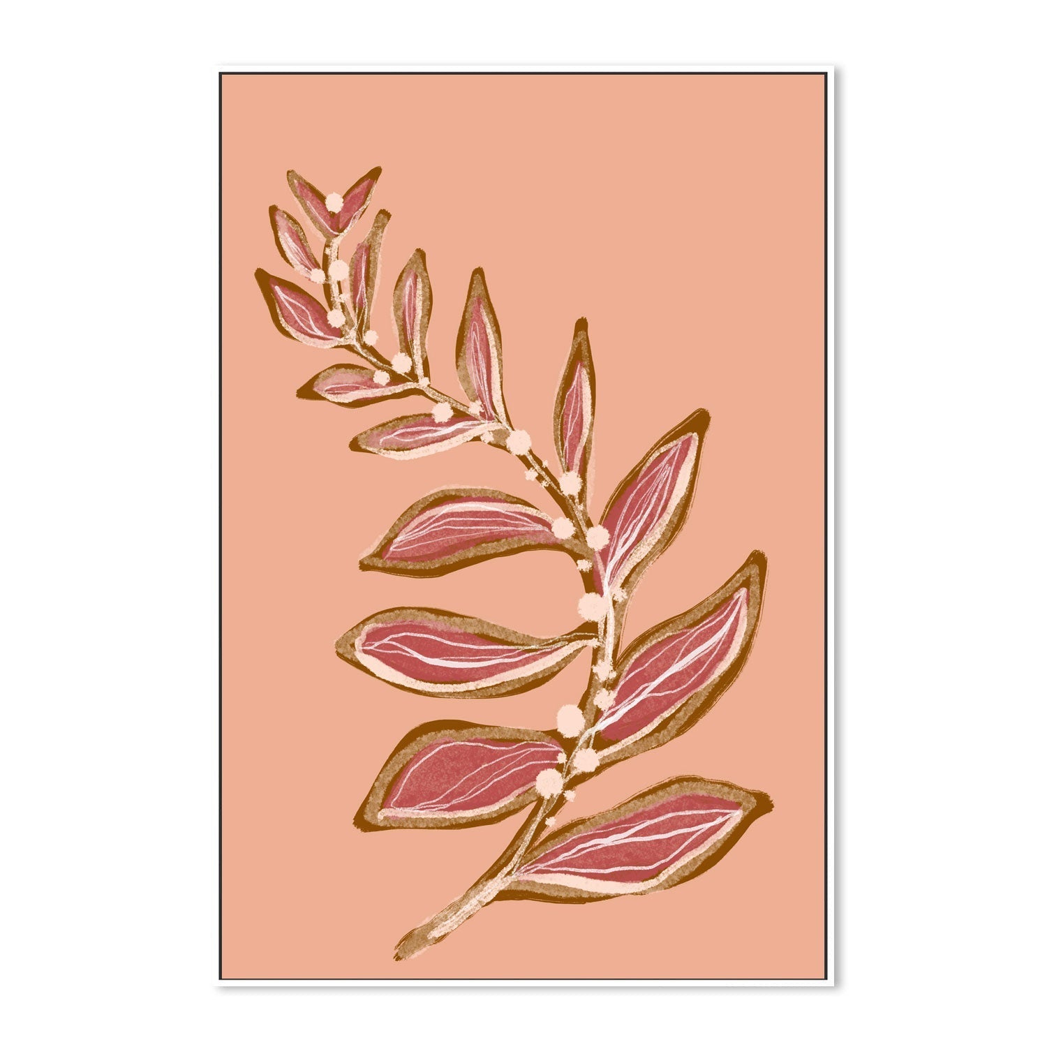 wall-art-print-canvas-poster-framed-Botanical Floral Peach, Style C , By Hope Bainbridge-5