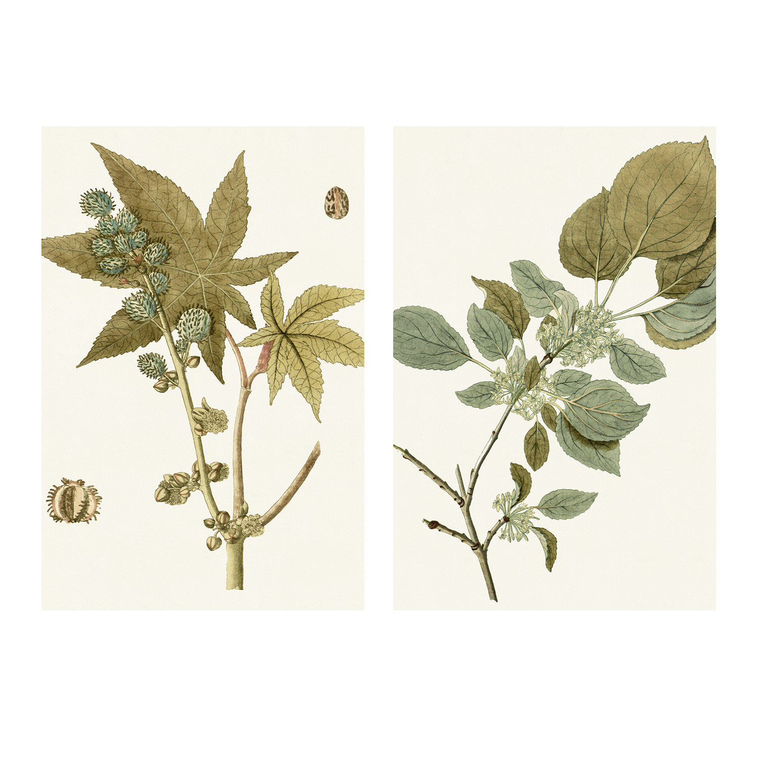 wall-art-print-canvas-poster-framed-Botanical Leaf, Style A & B, Set Of 2-1