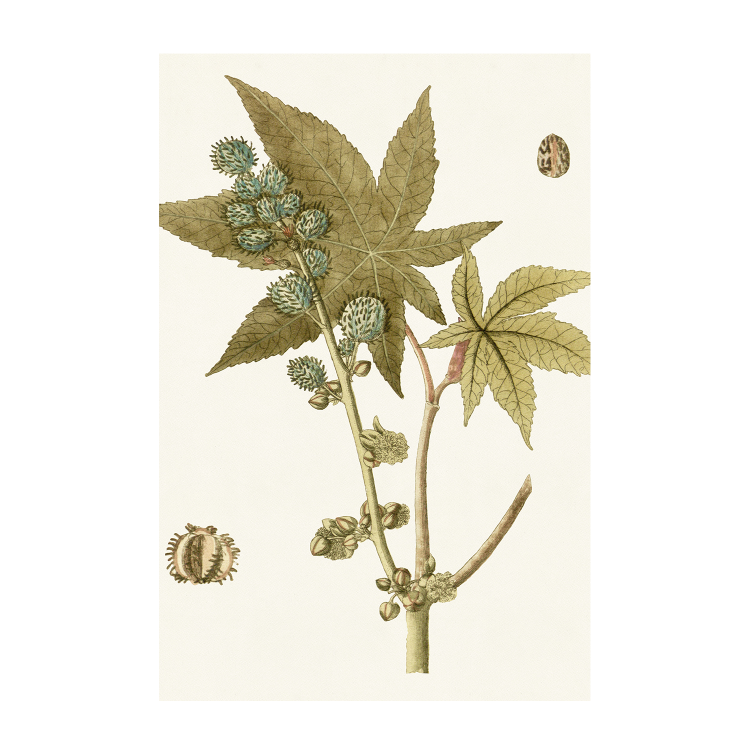 wall-art-print-canvas-poster-framed-Botanical Leaf, Style A & B, Set Of 2-8