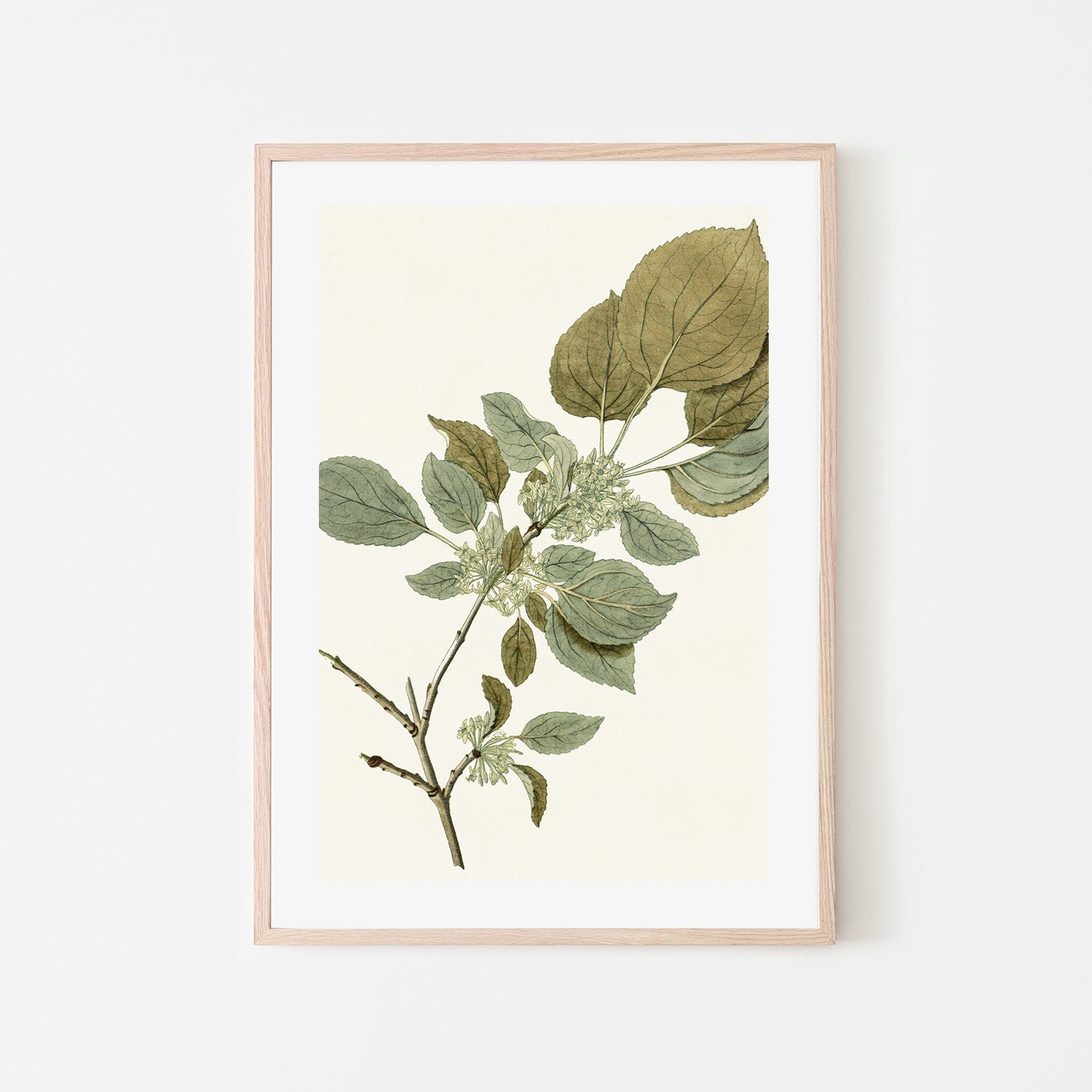 wall-art-print-canvas-poster-framed-Botanical Leaf, Style B-6
