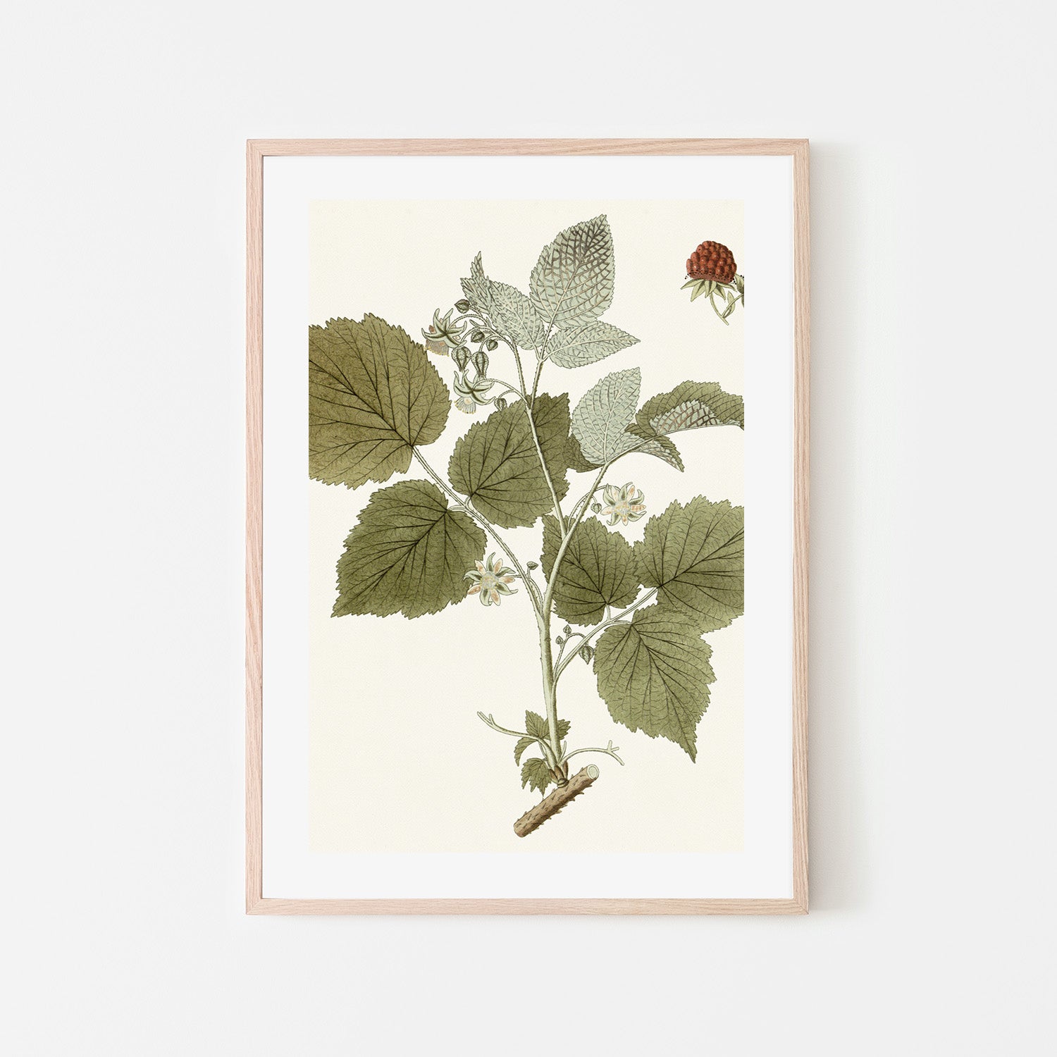 wall-art-print-canvas-poster-framed-Botanical Leaf, Style C-6
