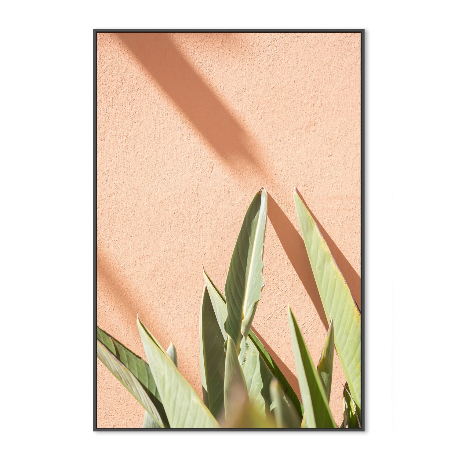 wall-art-print-canvas-poster-framed-Botanical Pastels-3