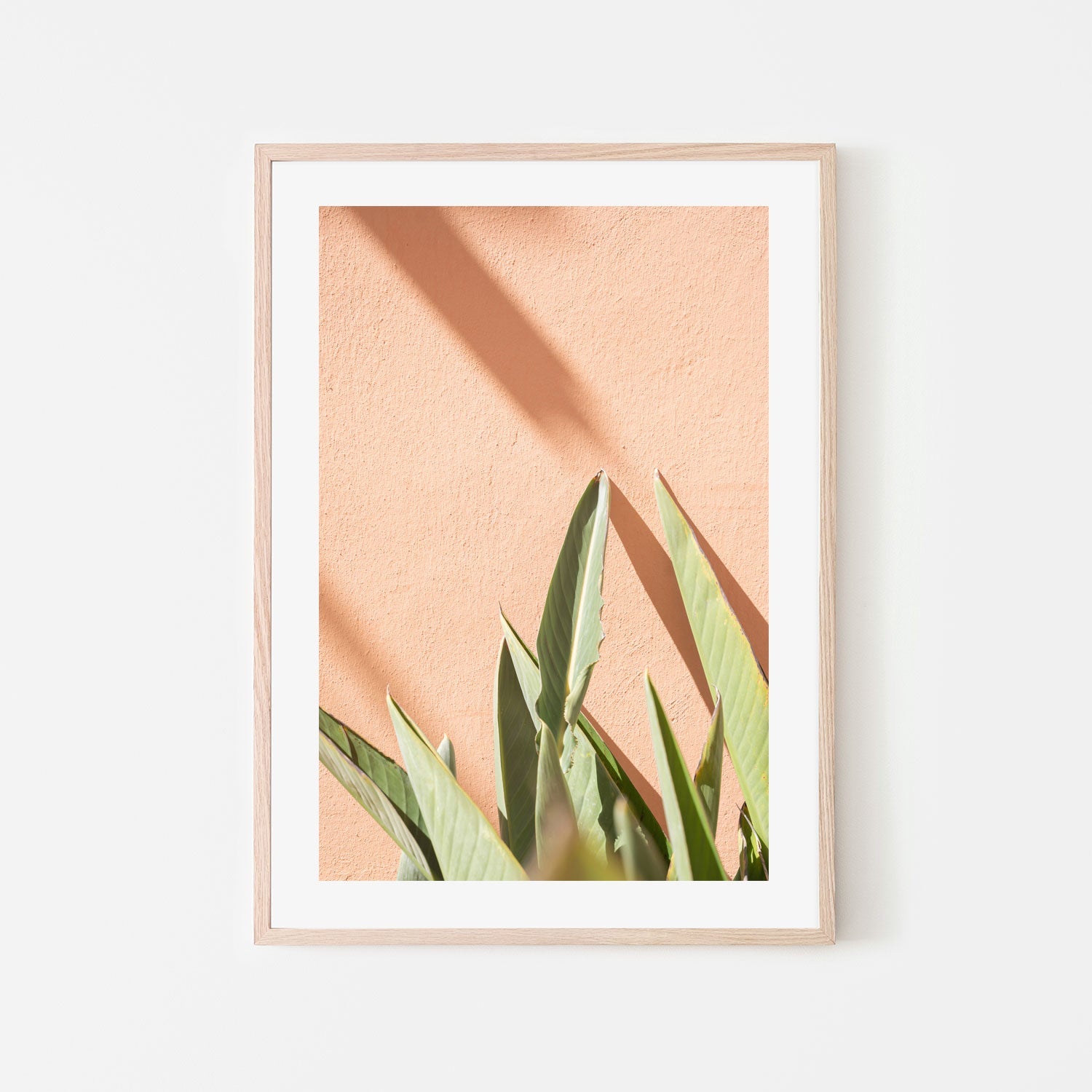 wall-art-print-canvas-poster-framed-Botanical Pastels-6