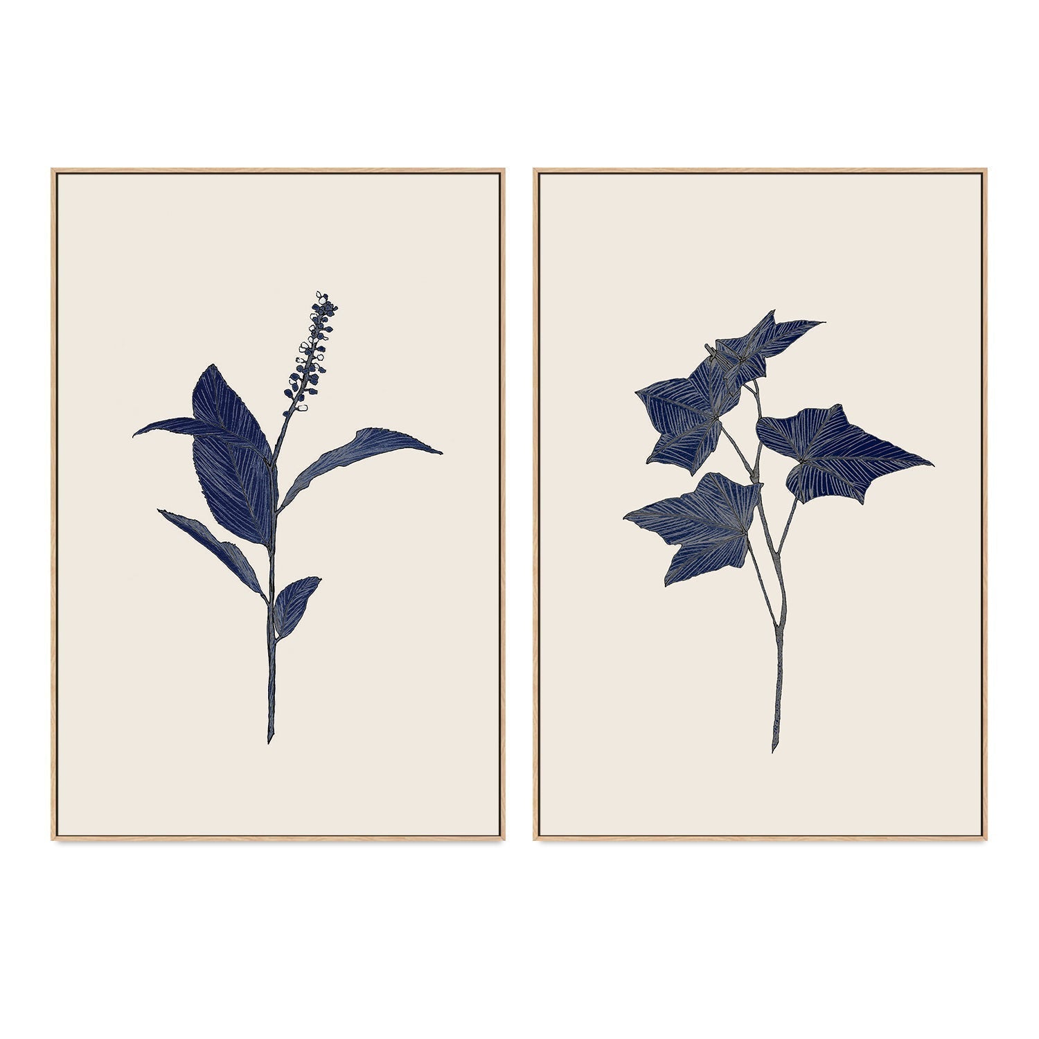 wall-art-print-canvas-poster-framed-Botanical, Set of 2-by-Danushka Abeygoda-Gioia Wall Art