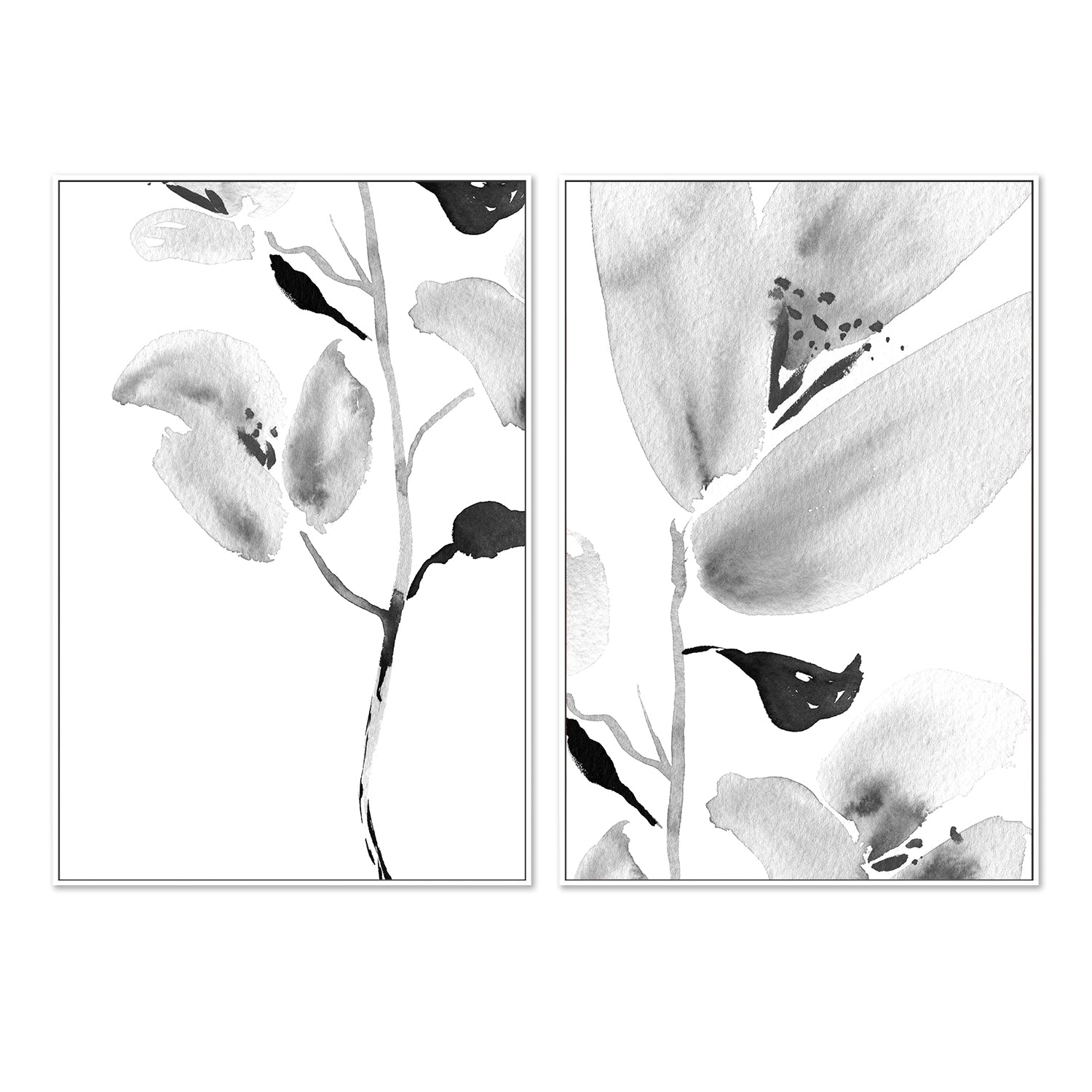 wall-art-print-canvas-poster-framed-Botanical, Style A & B, Set Of 2 , By Danushka Abeygoda-5