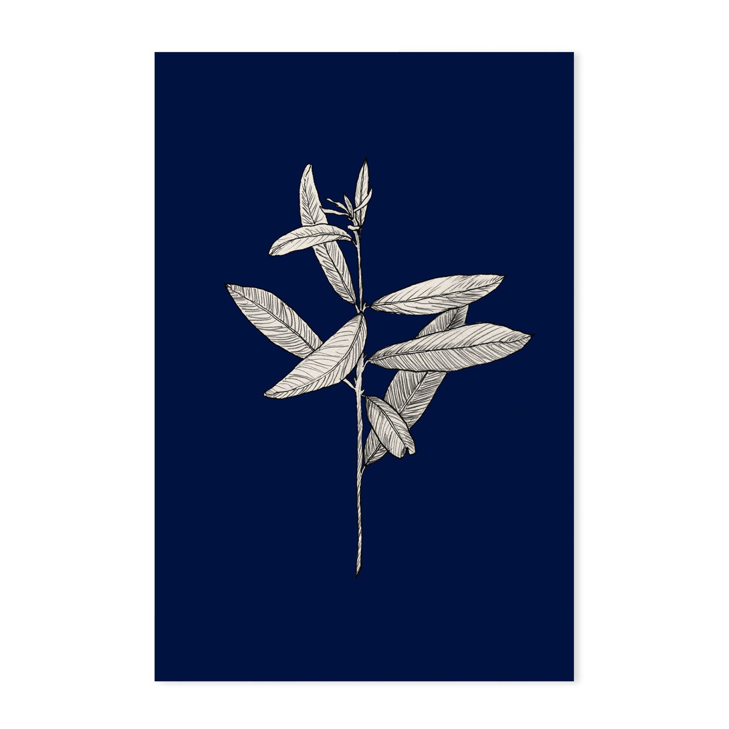 wall-art-print-canvas-poster-framed-Botanical, Style A-by-Danushka Abeygoda-Gioia Wall Art