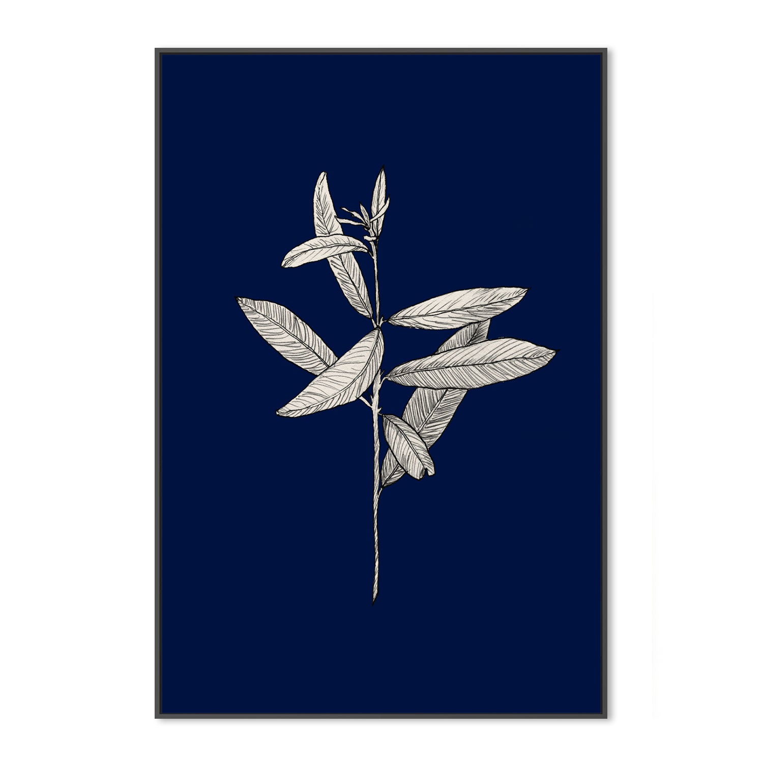 wall-art-print-canvas-poster-framed-Botanical, Style A-by-Danushka Abeygoda-Gioia Wall Art
