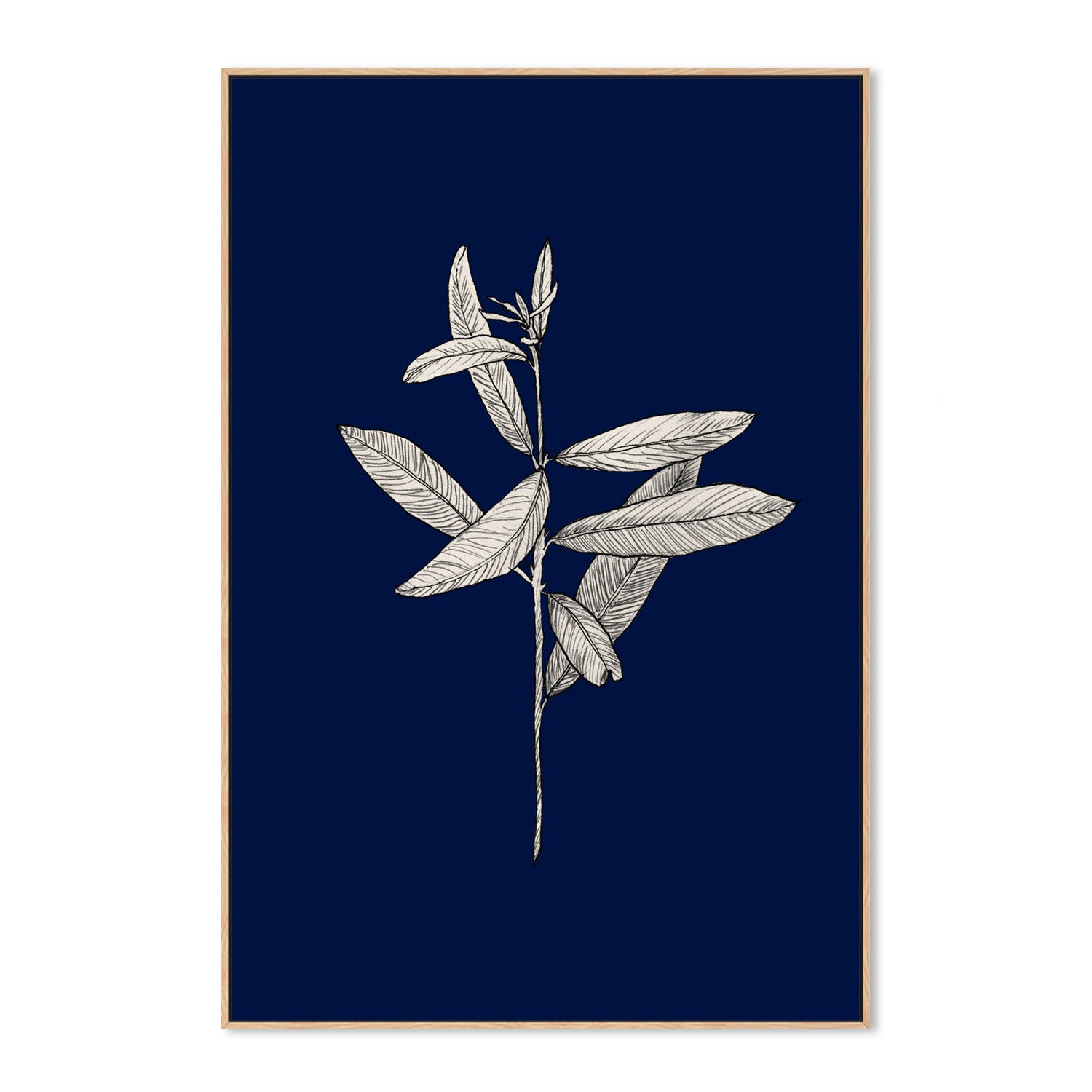wall-art-print-canvas-poster-framed-Botanical, Style A-by-Danushka Abeygoda-Gioia Wall Art