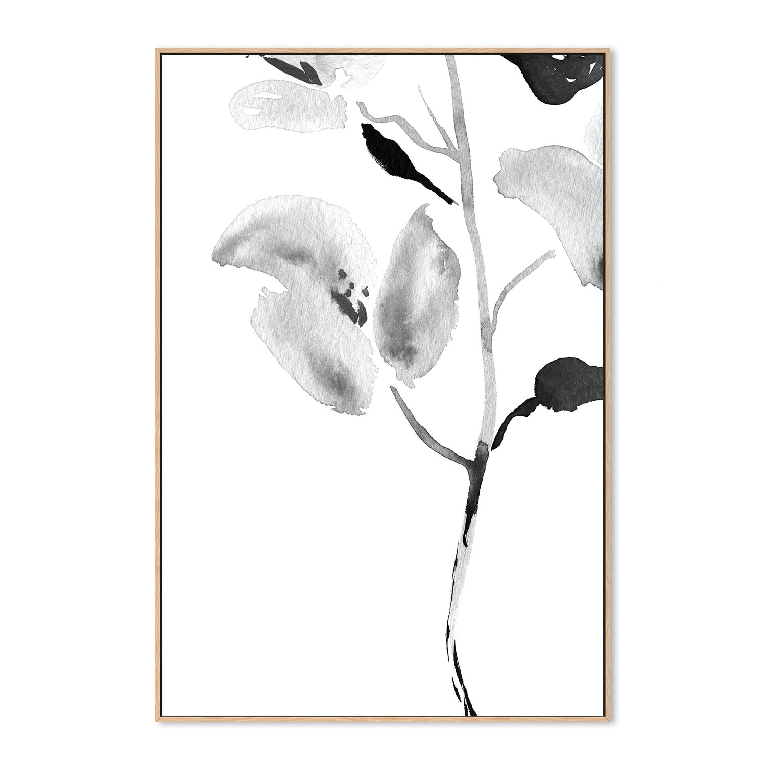 wall-art-print-canvas-poster-framed-Botanical, Style A , By Danushka Abeygoda-4