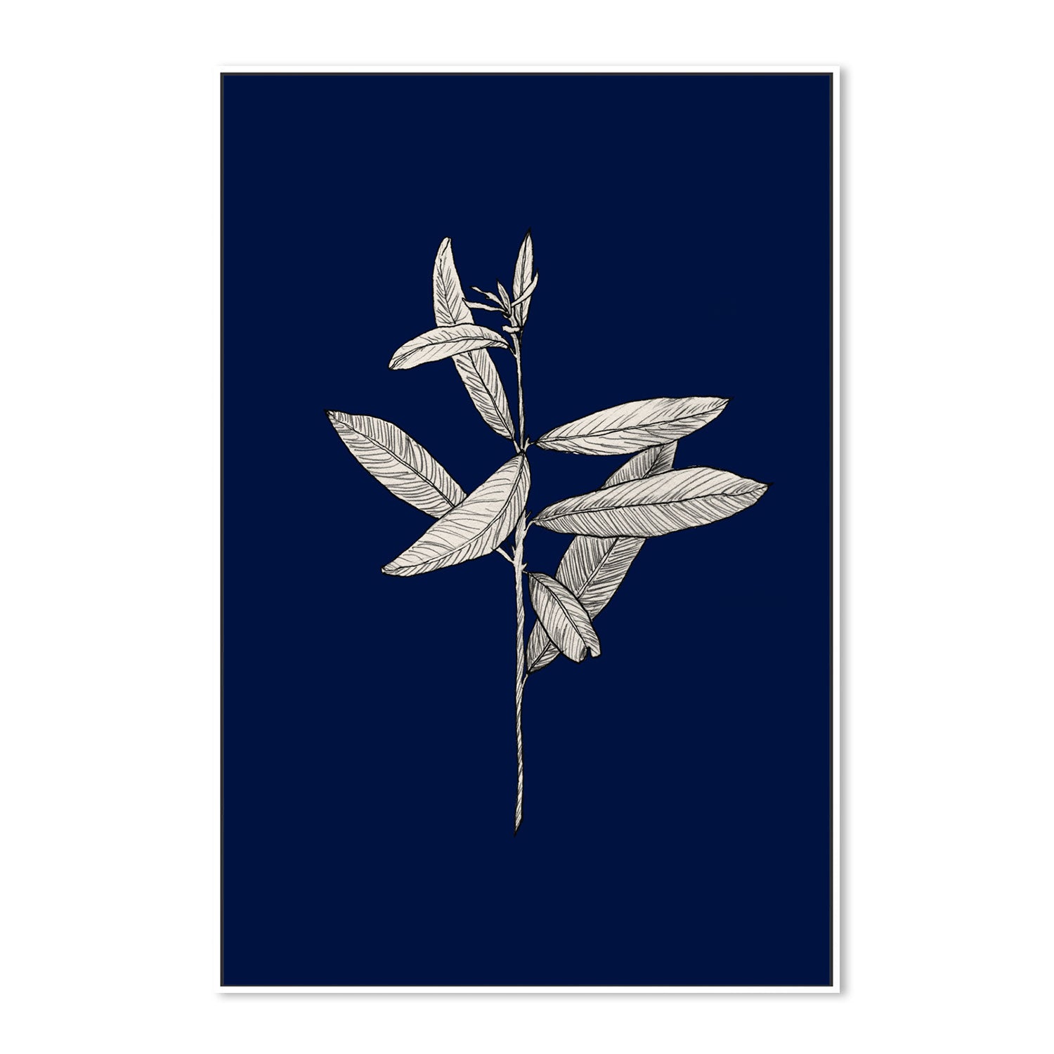 wall-art-print-canvas-poster-framed-Botanical, Style A-by-Danushka Abeygoda-Gioia Wall Art