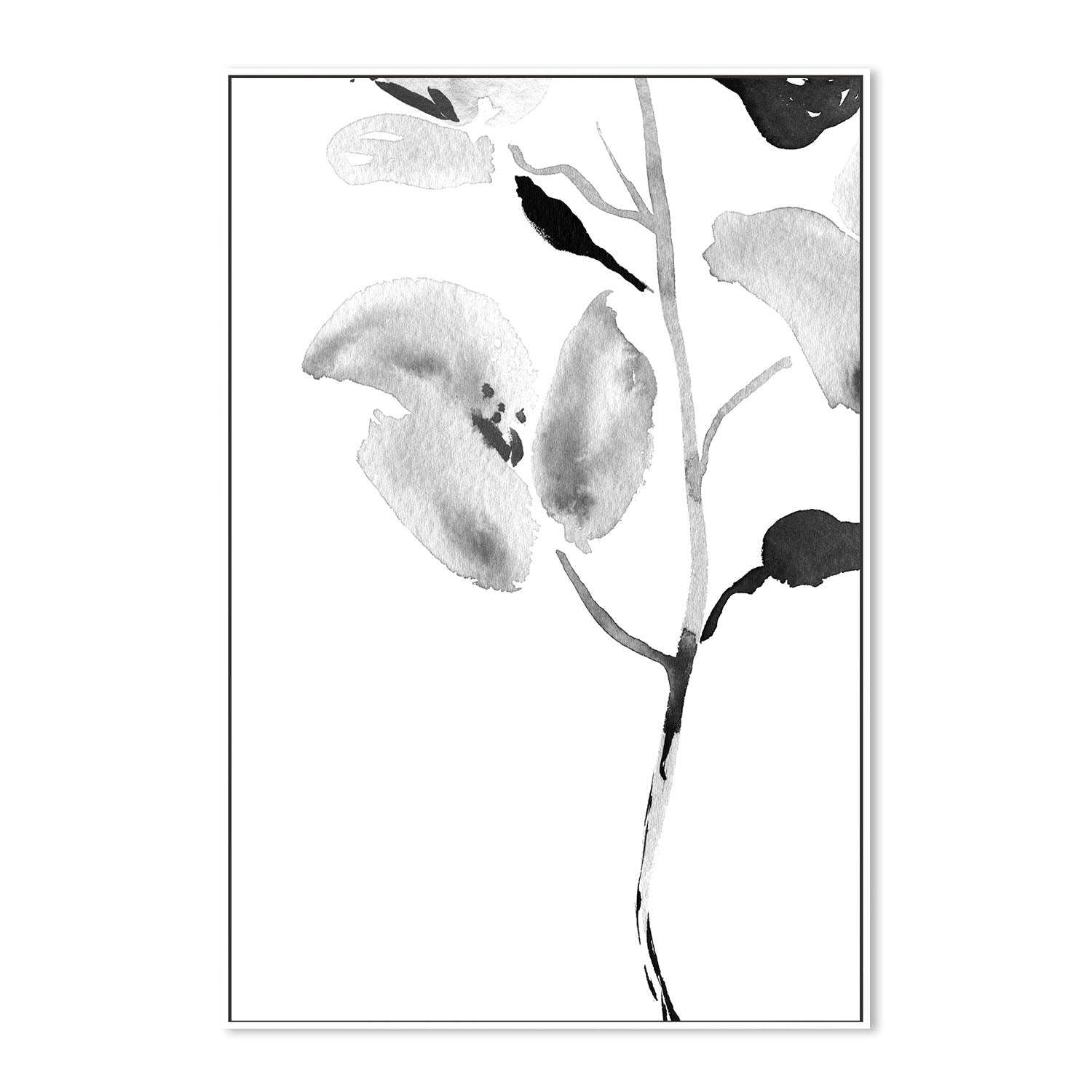 wall-art-print-canvas-poster-framed-Botanical, Style A , By Danushka Abeygoda-5