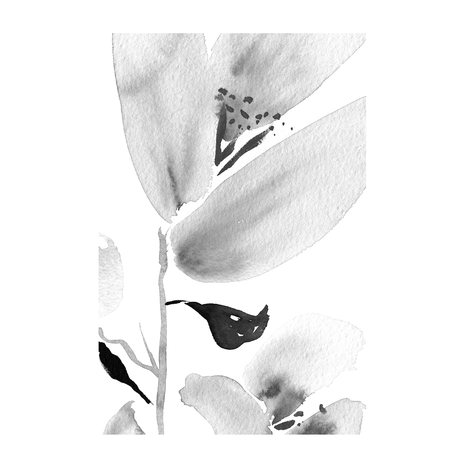 wall-art-print-canvas-poster-framed-Botanical, Style B , By Danushka Abeygoda-1