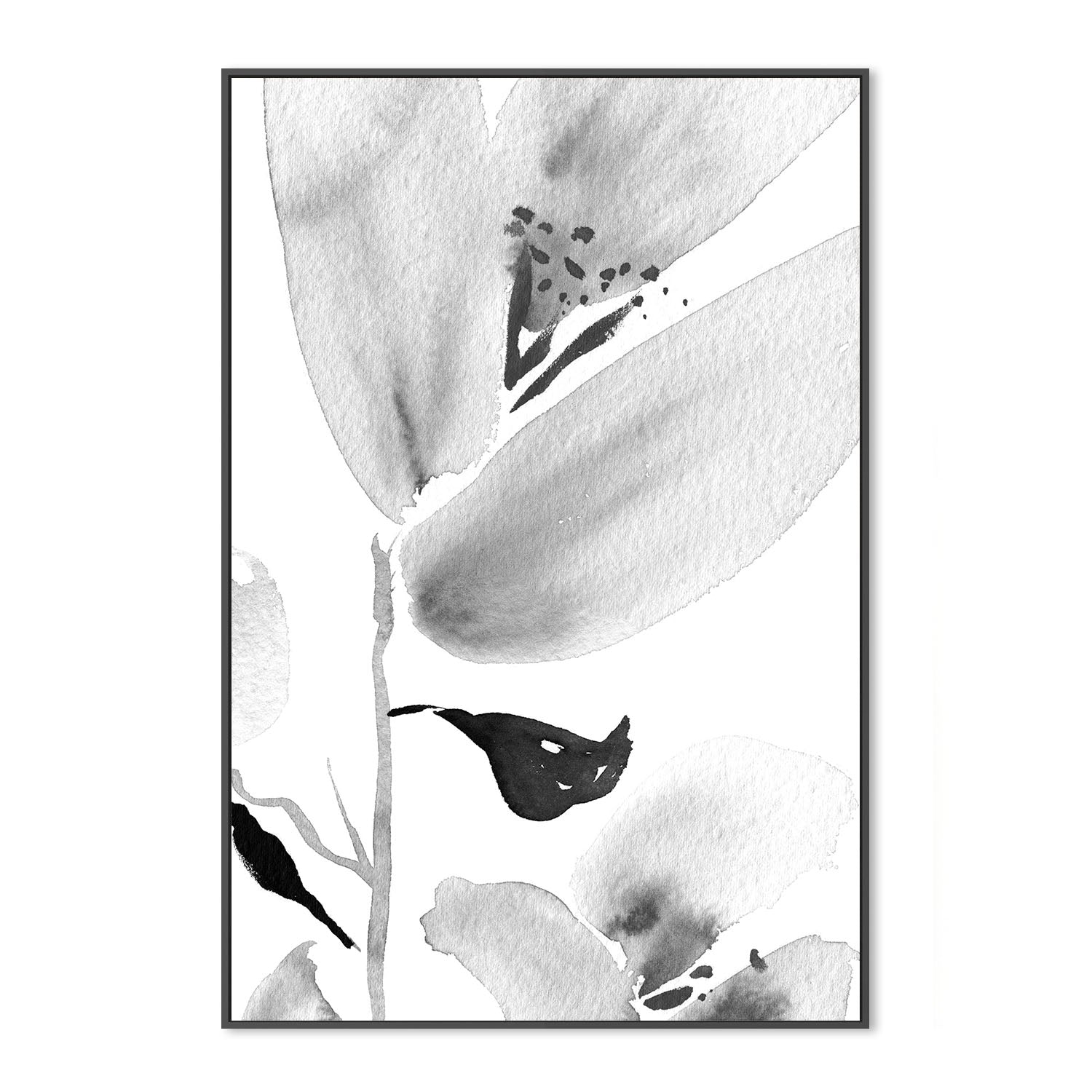 wall-art-print-canvas-poster-framed-Botanical, Style B , By Danushka Abeygoda-3