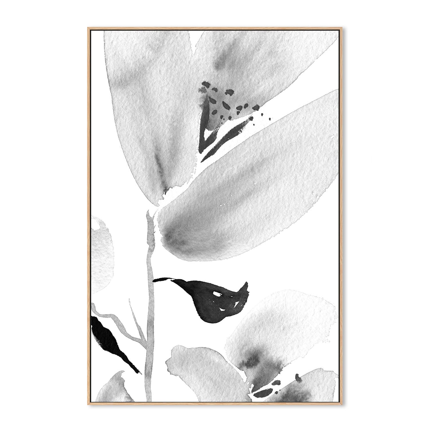 wall-art-print-canvas-poster-framed-Botanical, Style B , By Danushka Abeygoda-4