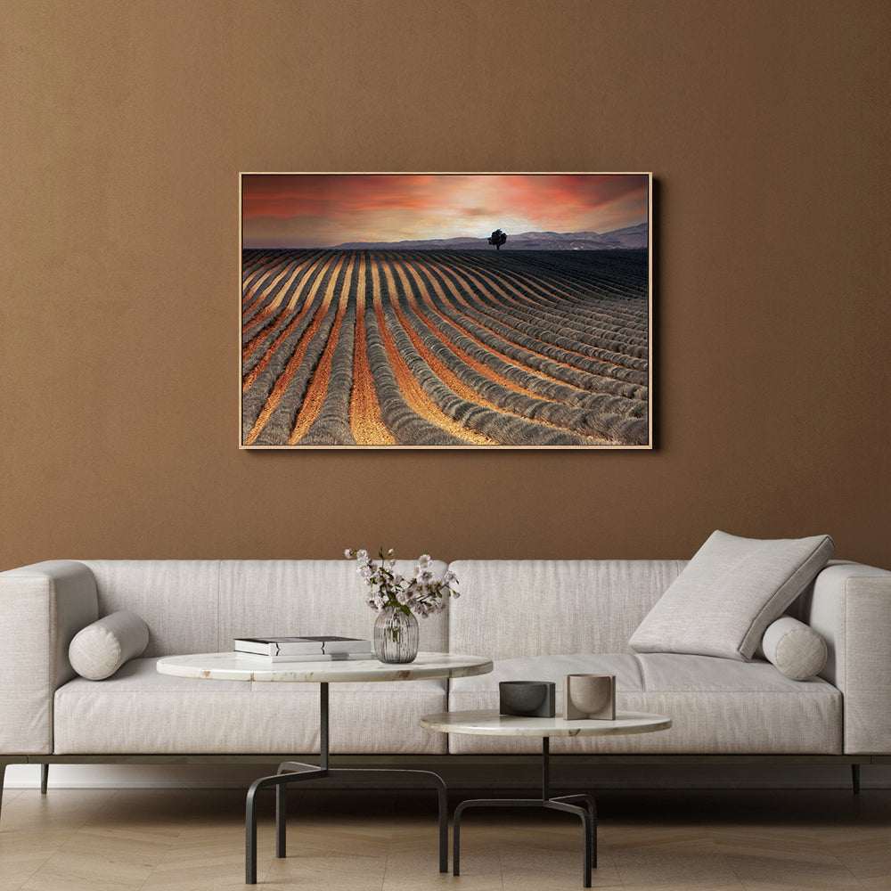 wall-art-print-canvas-poster-framed-Burnt Orange Farmland Field , By Gilbert Claes-GIOIA-WALL-ART