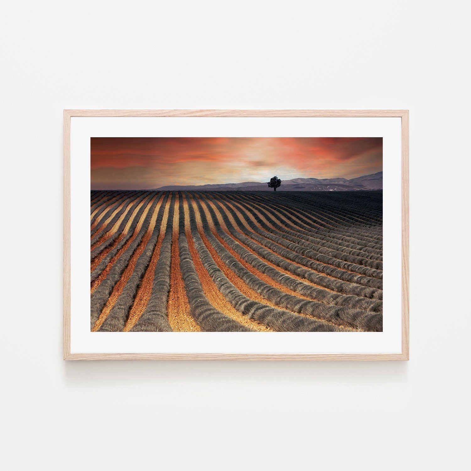 wall-art-print-canvas-poster-framed-Burnt Orange Farmland Field , By Gilbert Claes-GIOIA-WALL-ART