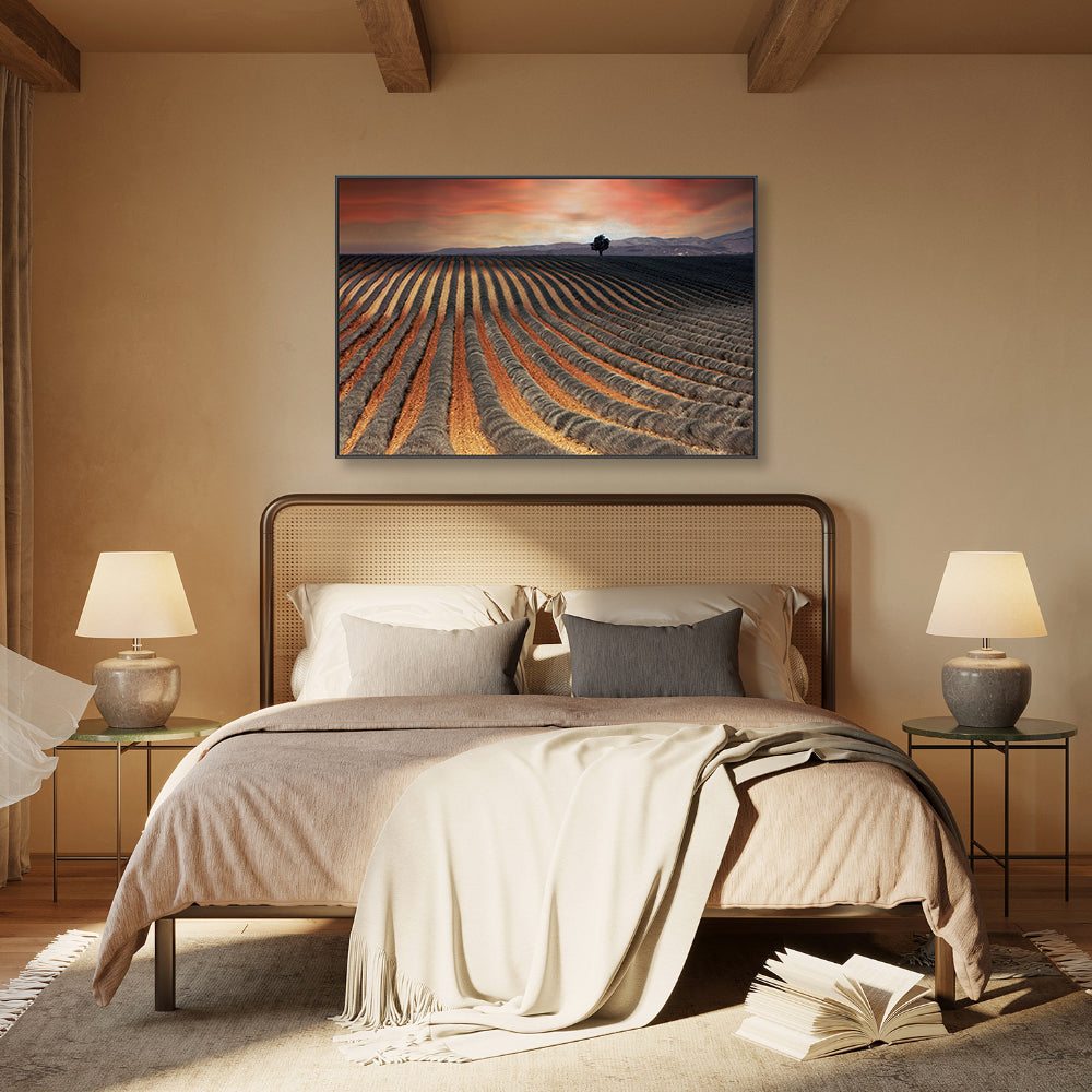 wall-art-print-canvas-poster-framed-Burnt Orange Farmland Field , By Gilbert Claes-GIOIA-WALL-ART
