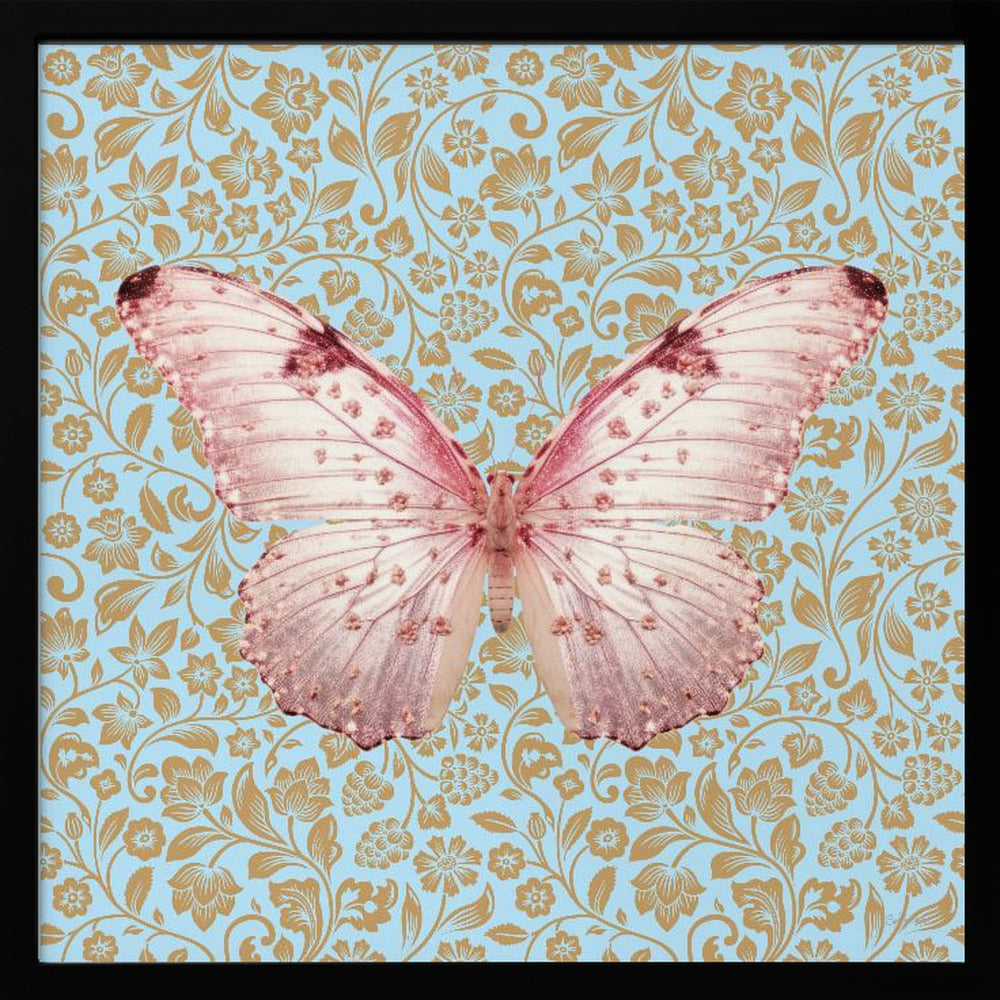wall-art-print-canvas-poster-framed-Butterfly Pink , By Sue Skellern-3