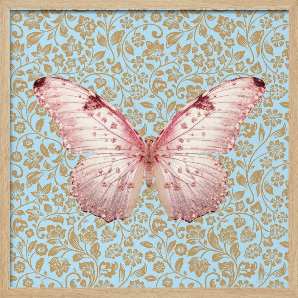wall-art-print-canvas-poster-framed-Butterfly Pink , By Sue Skellern-4