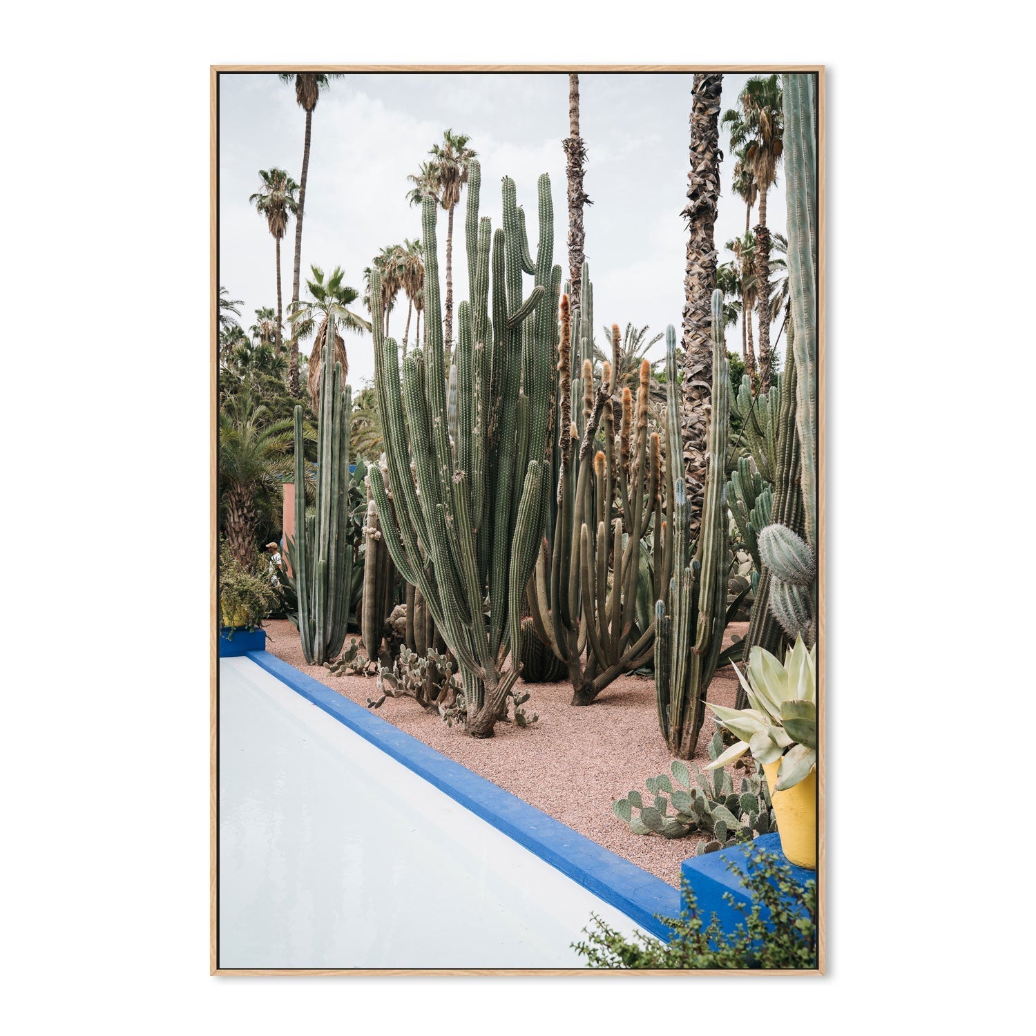 wall-art-print-canvas-poster-framed-Cacti Of Morocco , By Josh Silver-4