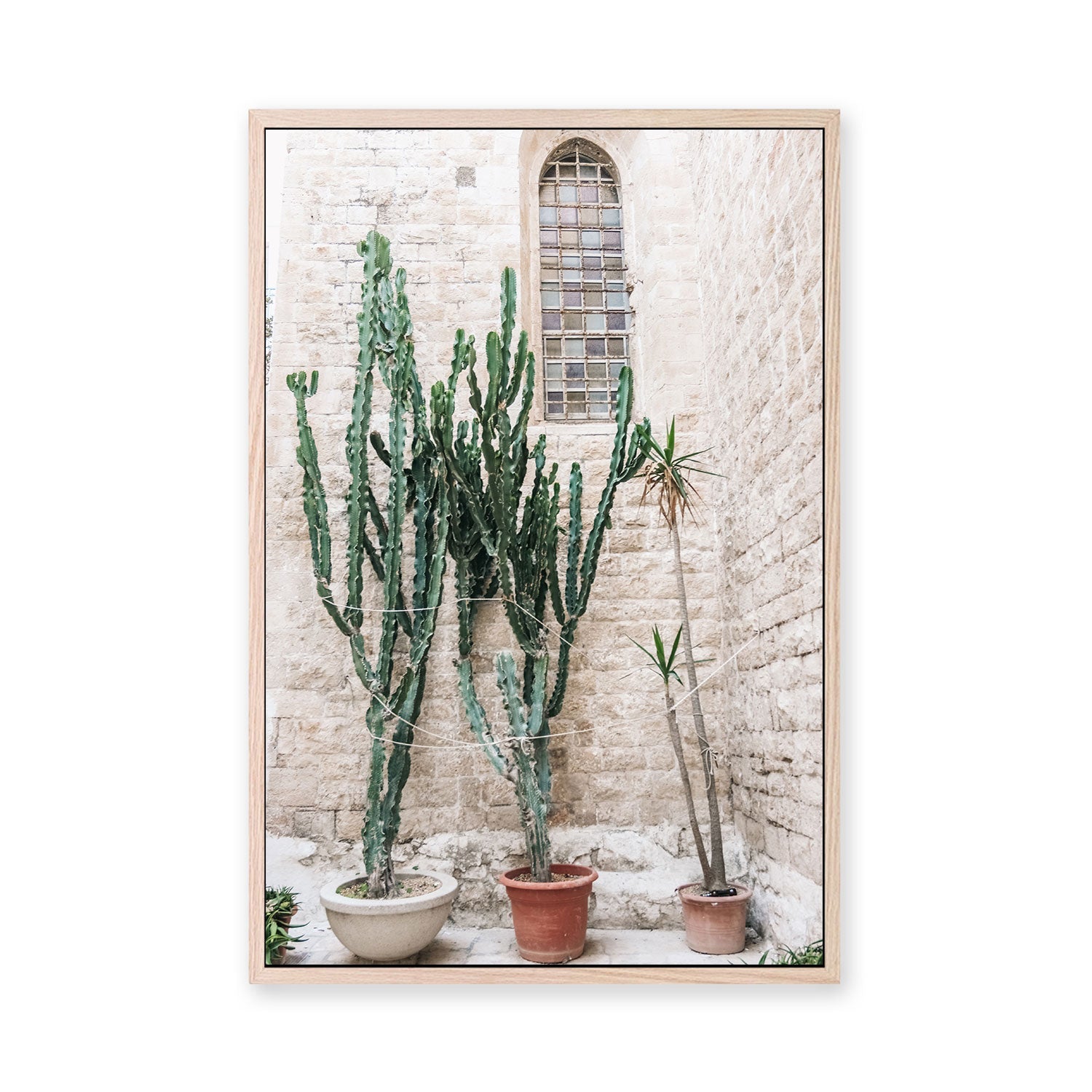 wall-art-print-canvas-poster-framed-Cacti of Puglia, Puglia, Italy , By Carla & Joel Photography-GIOIA-WALL-ART
