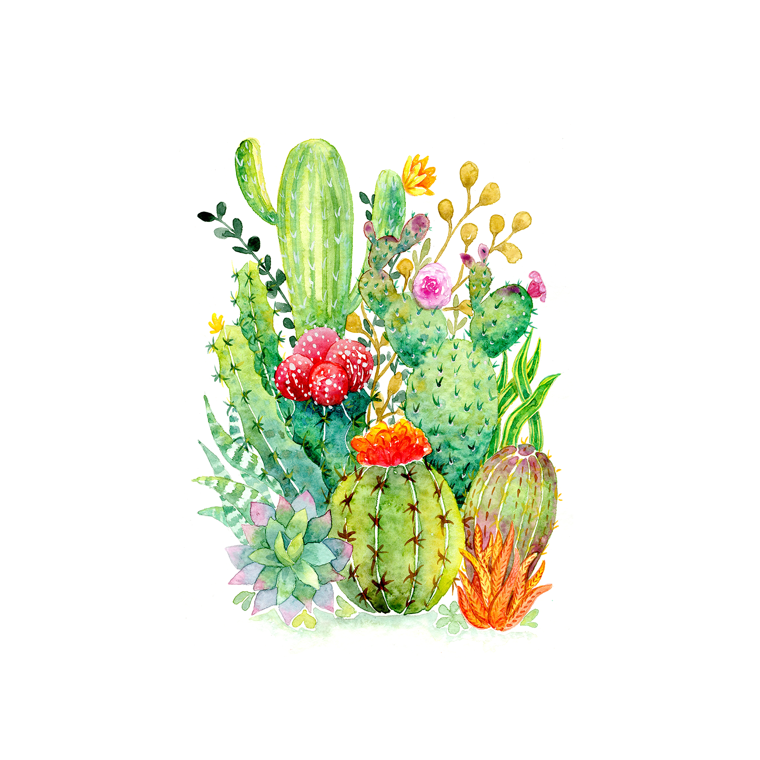 wall-art-print-canvas-poster-framed-Cactus , By Jessie Mitchelson-1