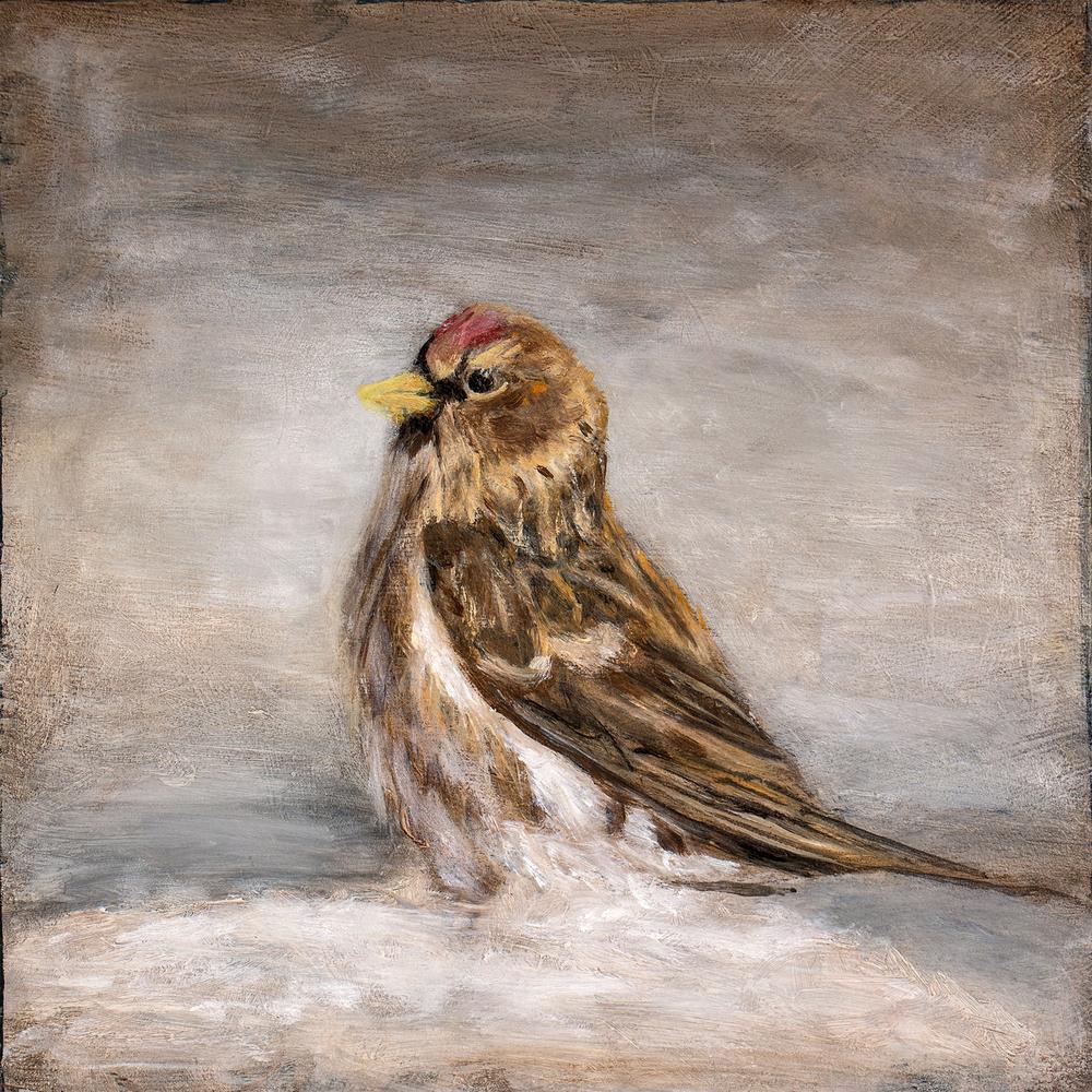 wall-art-print-canvas-poster-framed-Calm Winter Redpoll-1