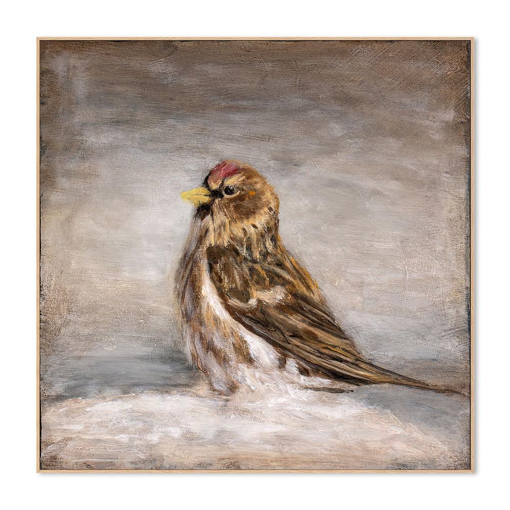 wall-art-print-canvas-poster-framed-Calm Winter Redpoll-4