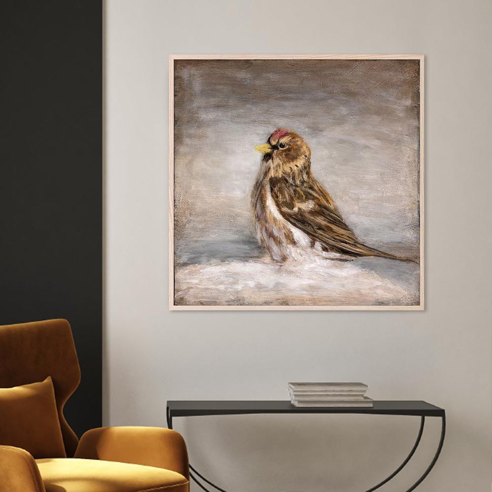 wall-art-print-canvas-poster-framed-Calm Winter Redpoll-7