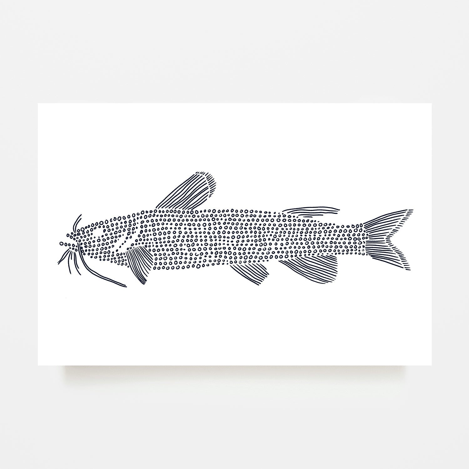 wall-art-print-canvas-poster-framed-Cat Fish , By Jetty Home , By Jetty Home-1