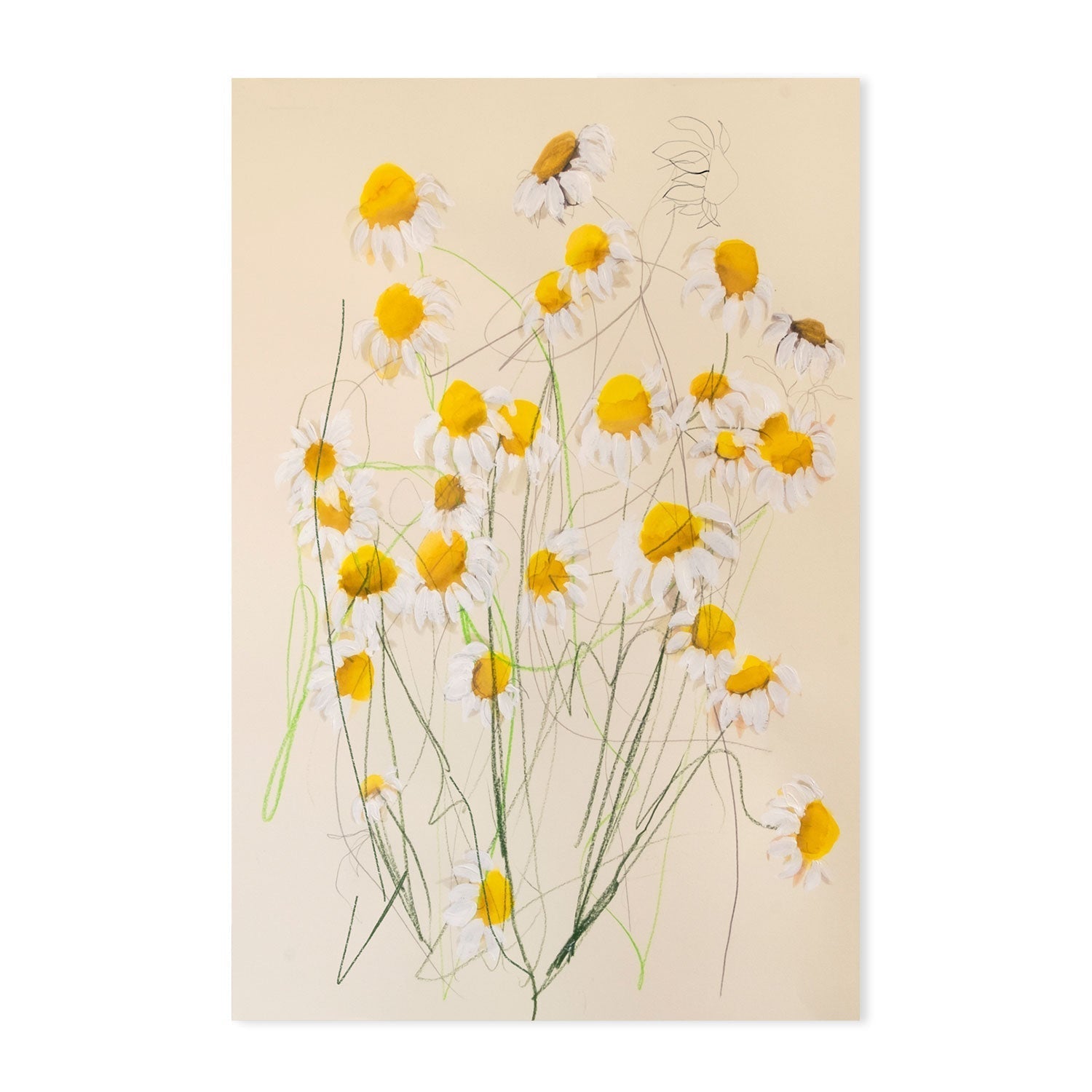 wall-art-print-canvas-poster-framed-Chamomile No.1 , By Leigh Viner-GIOIA-WALL-ART