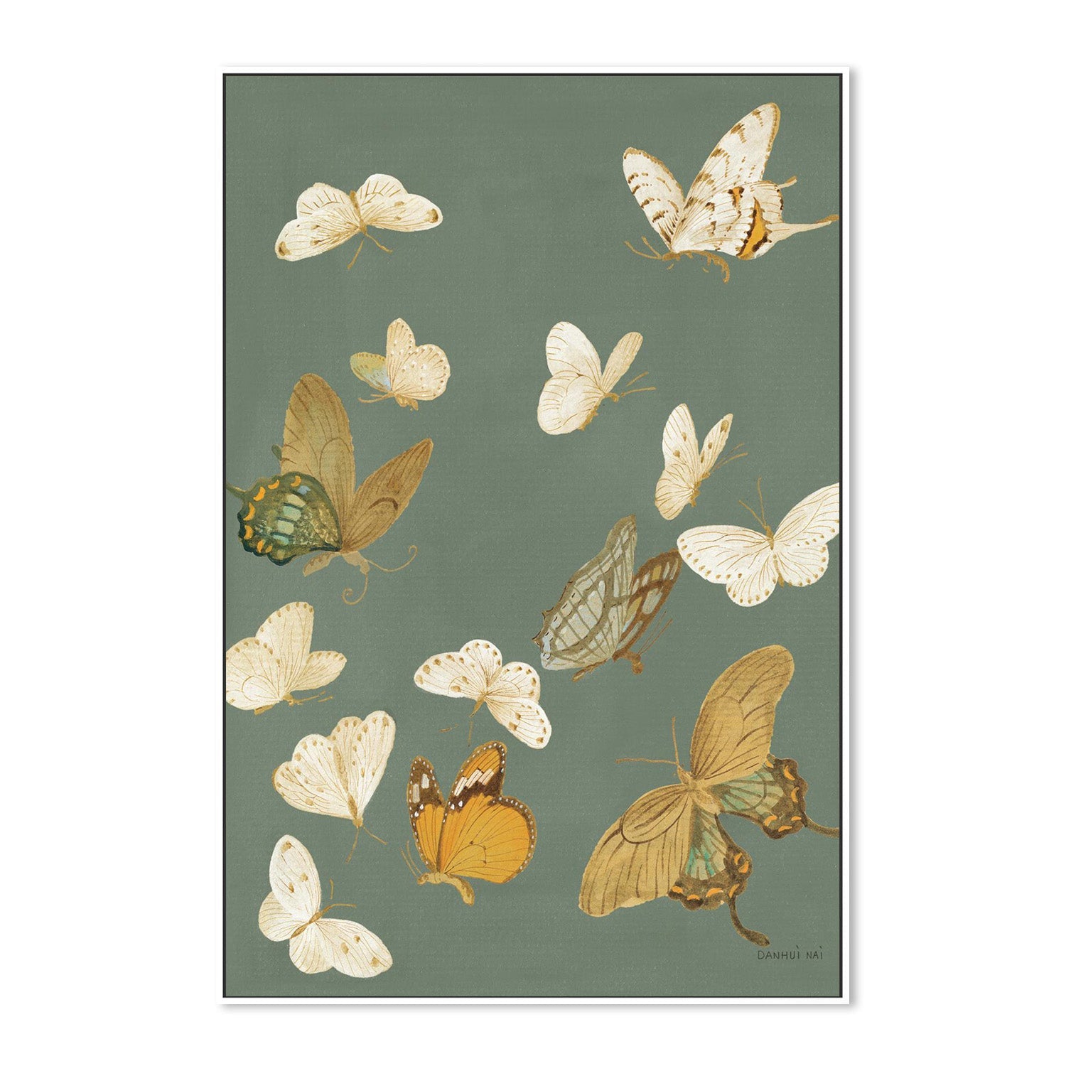 wall-art-print-canvas-poster-framed-Chrysanthemum Butterflies Sage-5