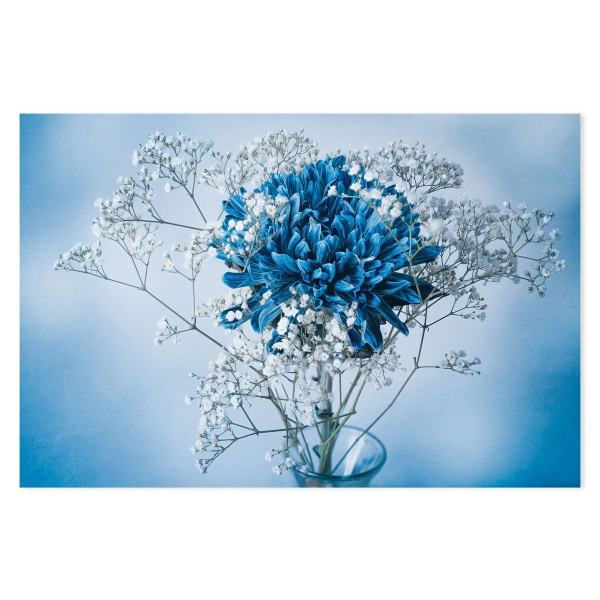 wall-art-print-canvas-poster-framed-Chrysanthemum In Blue, by Mike Kreiten-by-Plus X Studio-Gioia Wall Art