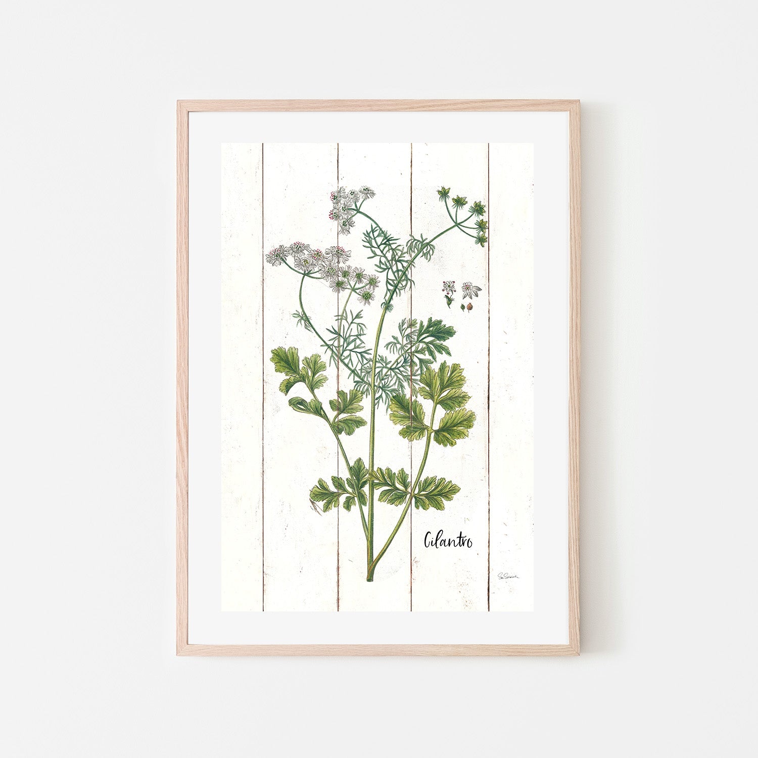 wall-art-print-canvas-poster-framed-Cilantro Cottage Herbs, Style B , By Sue Schlabach-6