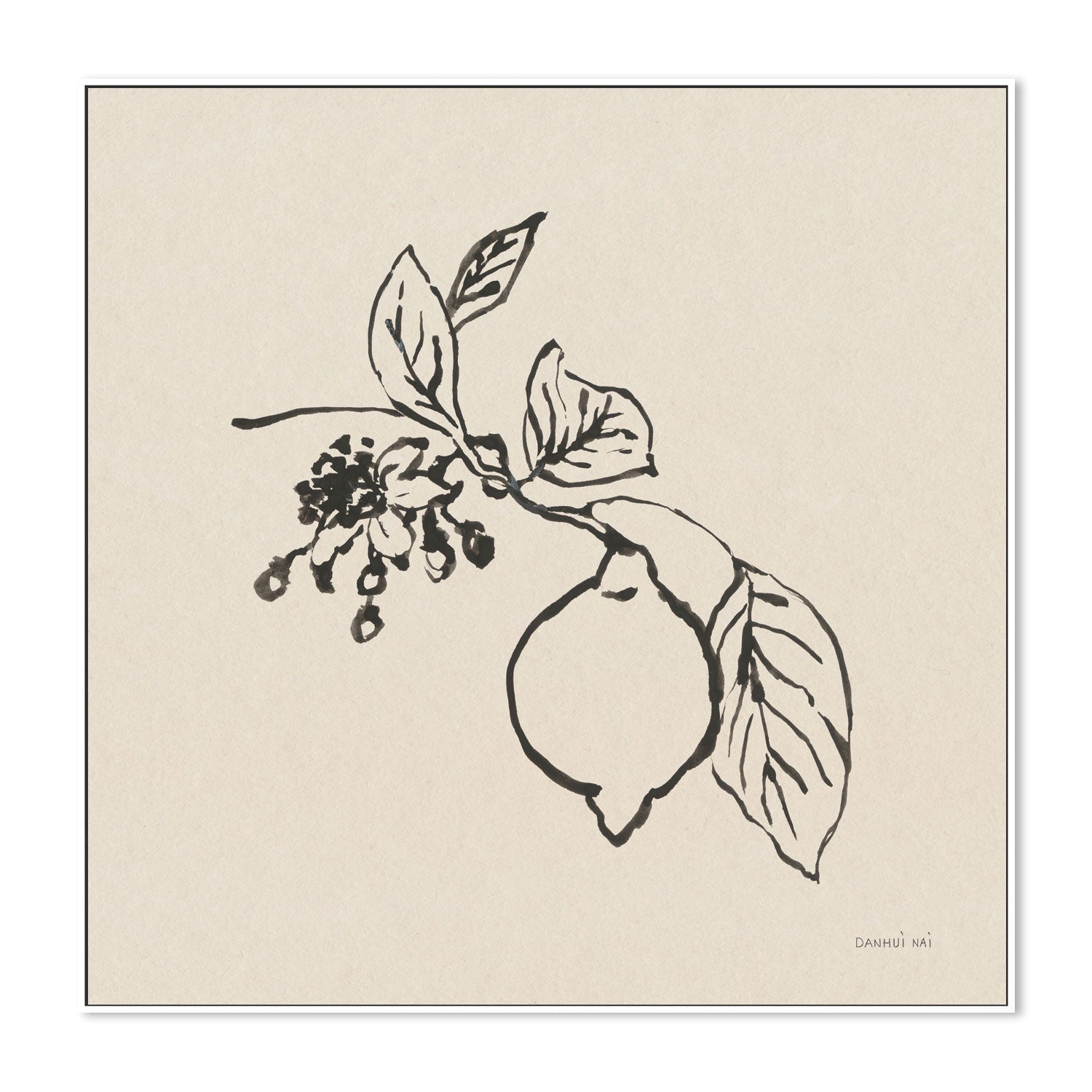 wall-art-print-canvas-poster-framed-Citrus Summer , By Danhui Nai-GIOIA-WALL-ART