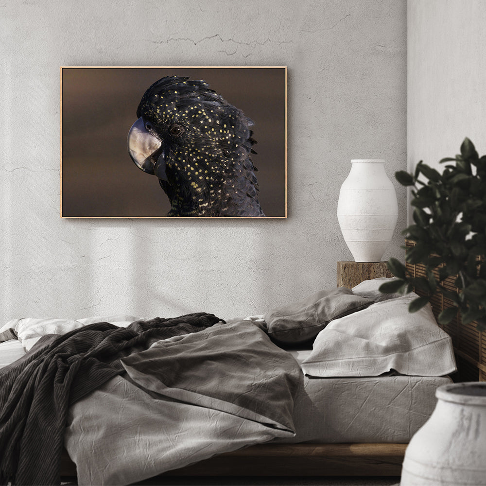 wall-art-print-canvas-poster-framed-Close Up To A Cockatoo, by Susan Moss-by-Plus X Studio-Gioia Wall Art