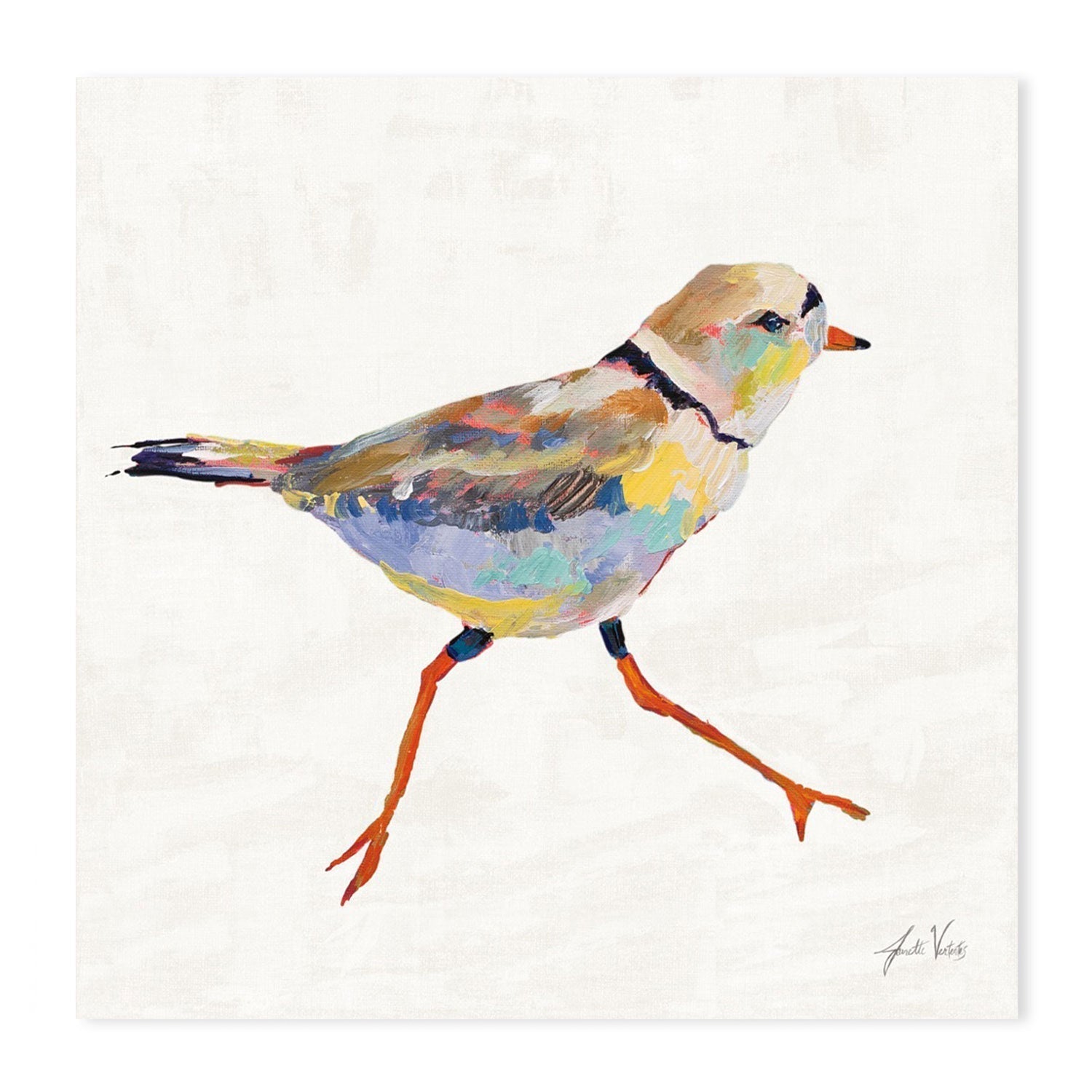wall-art-print-canvas-poster-framed-Coastal Plover Linen, Set of 4-by-Jeanette Vertentes-Gioia Wall Art