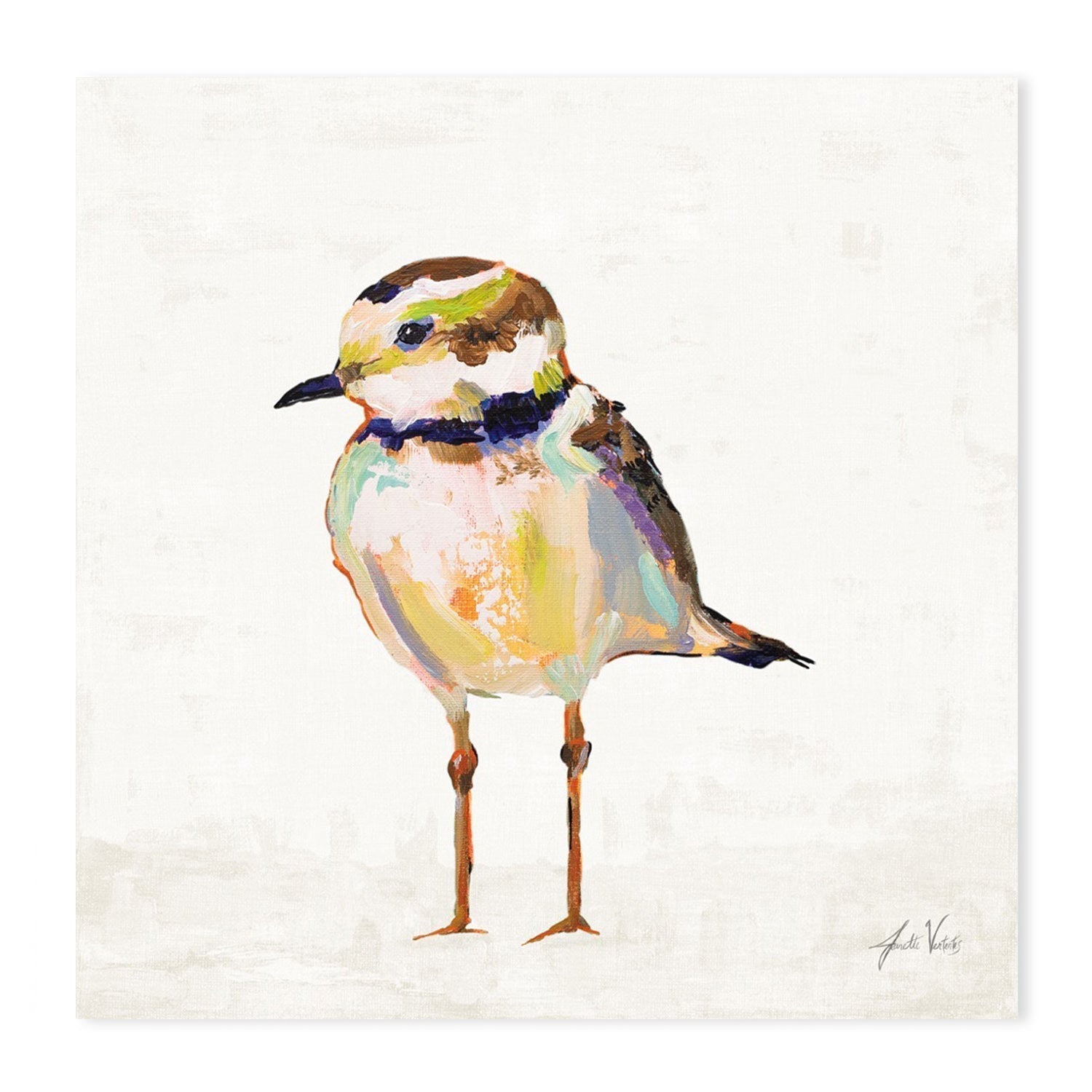 wall-art-print-canvas-poster-framed-Coastal Plover Linen, Set of 4-by-Jeanette Vertentes-Gioia Wall Art
