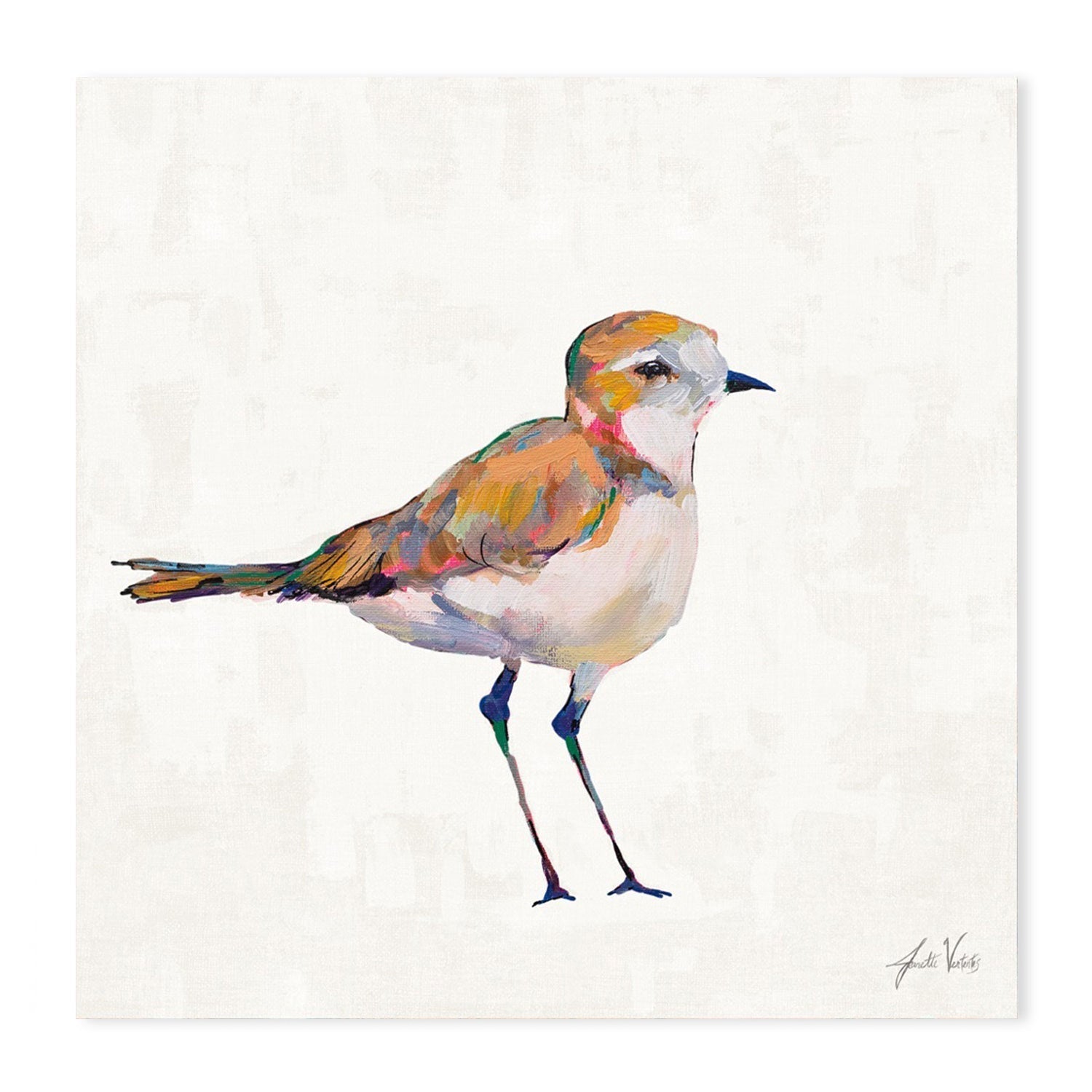 wall-art-print-canvas-poster-framed-Coastal Plover Linen, Set of 4-by-Jeanette Vertentes-Gioia Wall Art