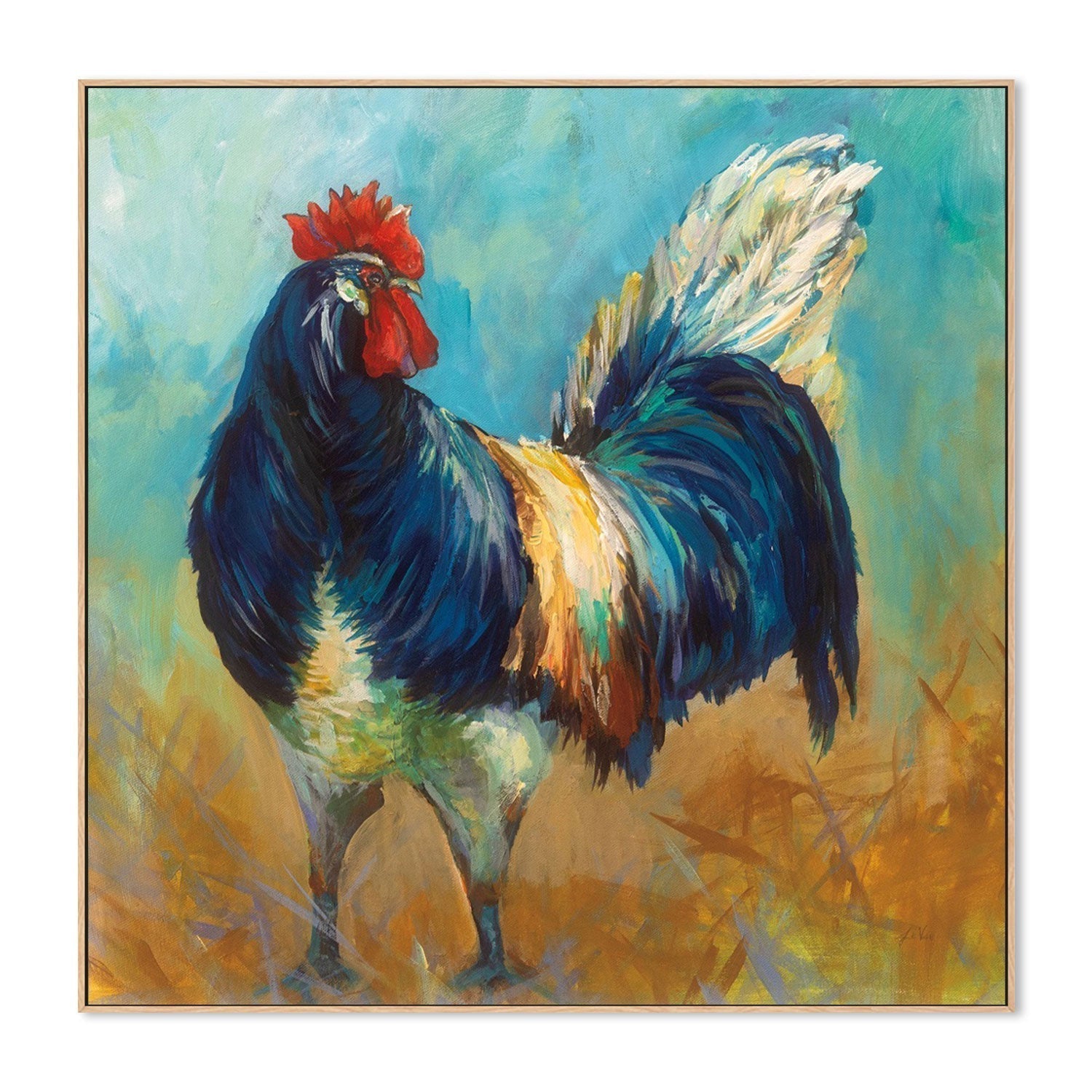 wall-art-print-canvas-poster-framed-Cocky-by-Jeanette Vertentes-Gioia Wall Art