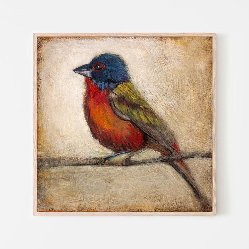 wall-art-print-canvas-poster-framed-Colorful Painted Bunting-6