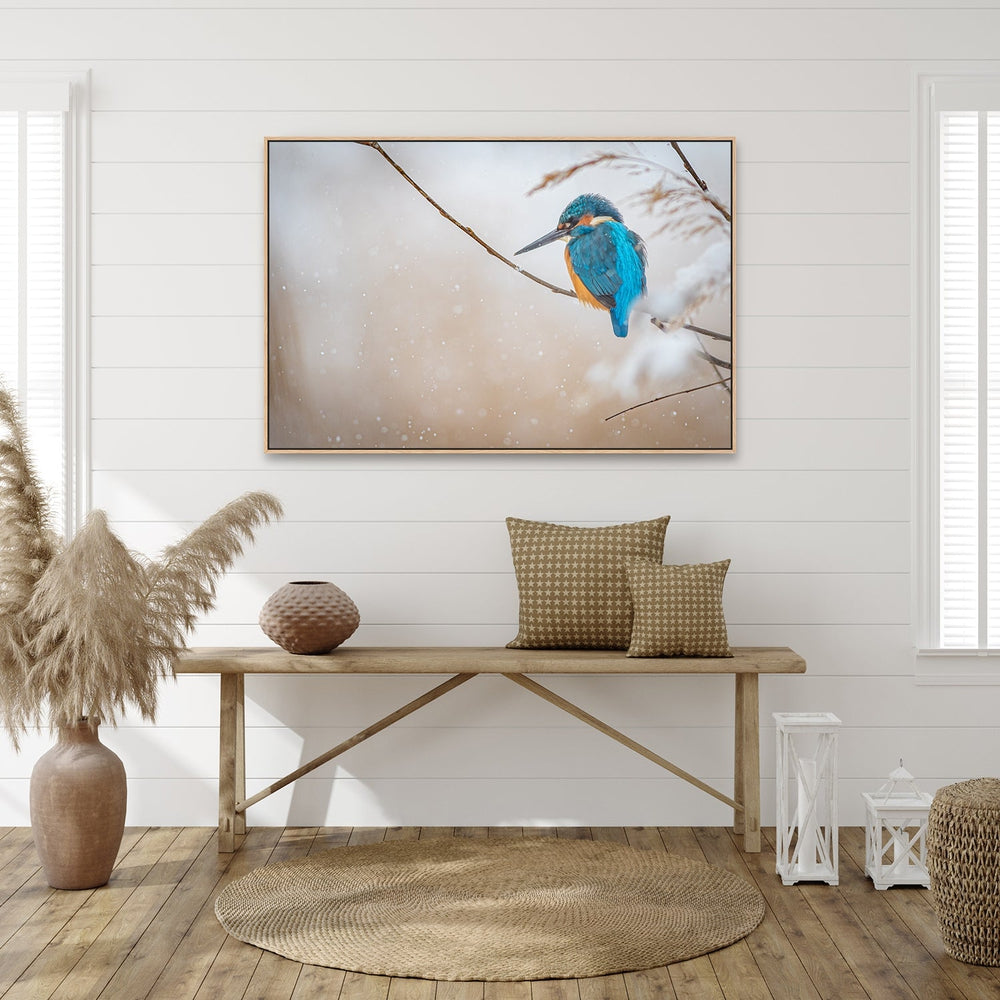 wall-art-print-canvas-poster-framed-Common Kingfisher, By Yordan Vasilev-by-Plus X Studio-Gioia Wall Art