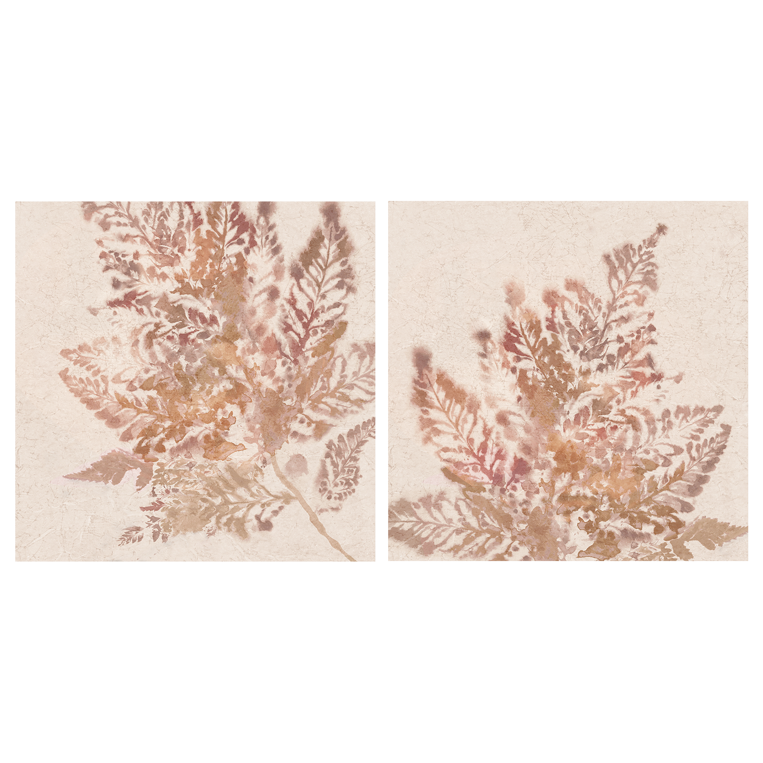 wall-art-print-canvas-poster-framed-Coral Fern, Style A & B, Set Of 2 , By Alex Black-1